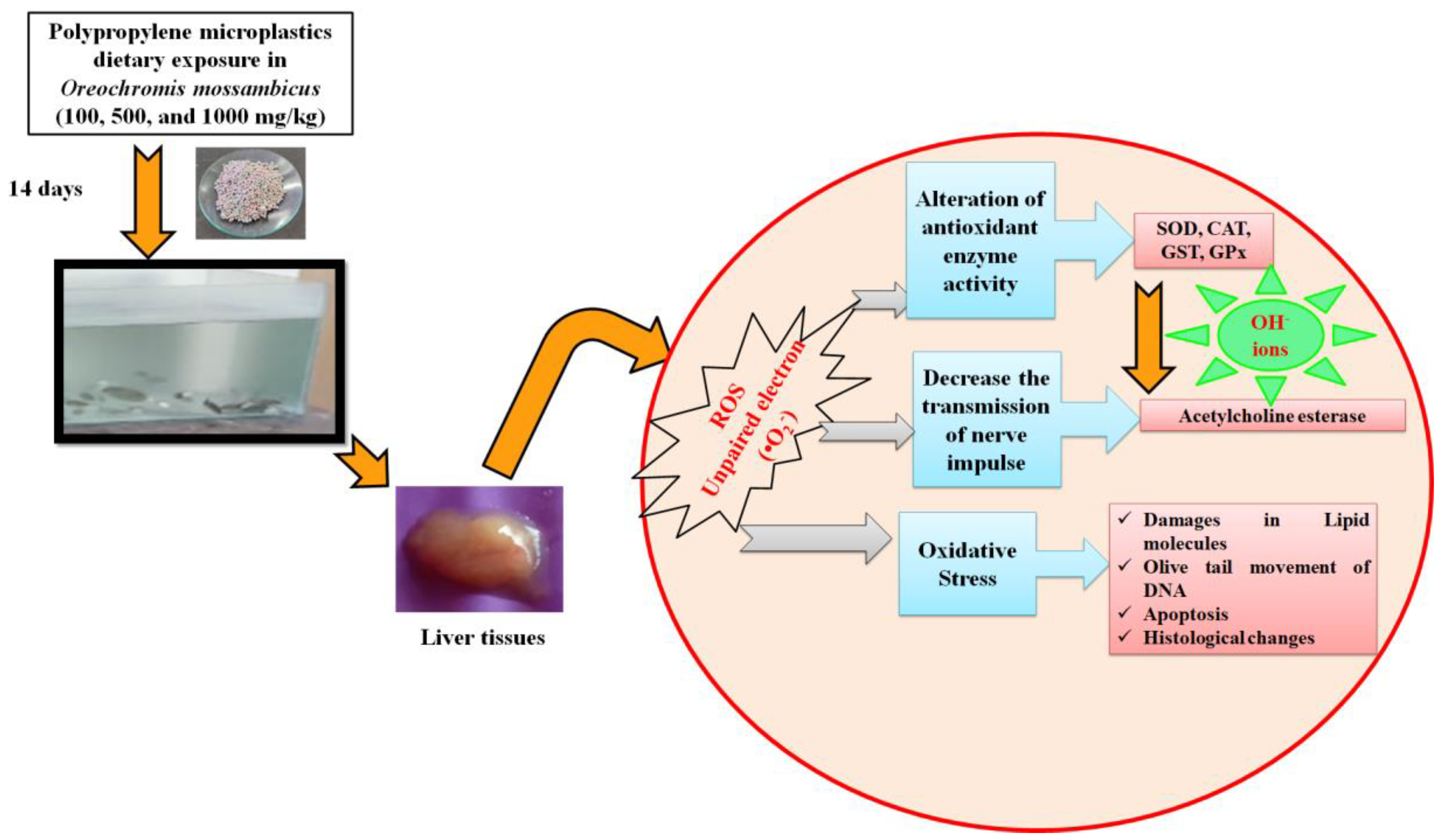 Toxics 11 00282 g008