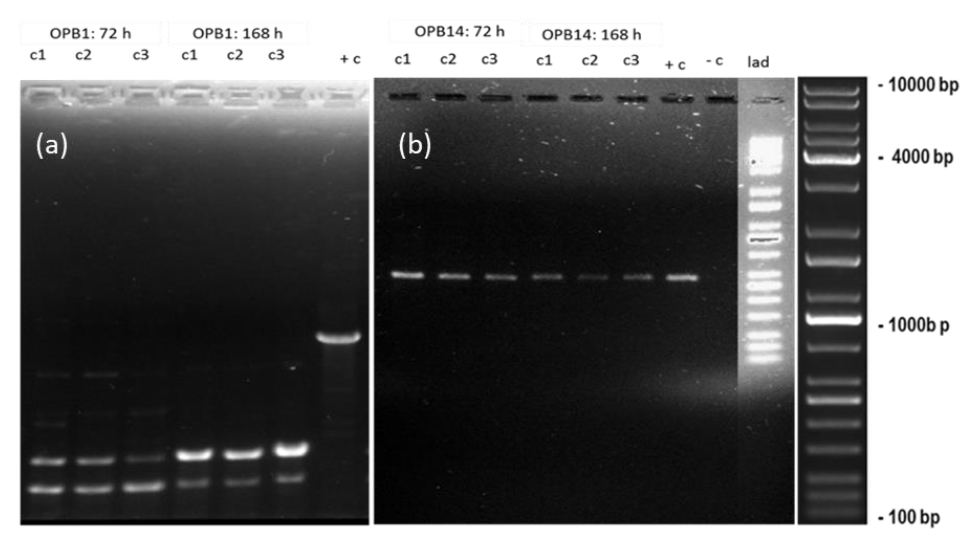 Toxics 11 00283 g004 Toxics 11 00283 g004
