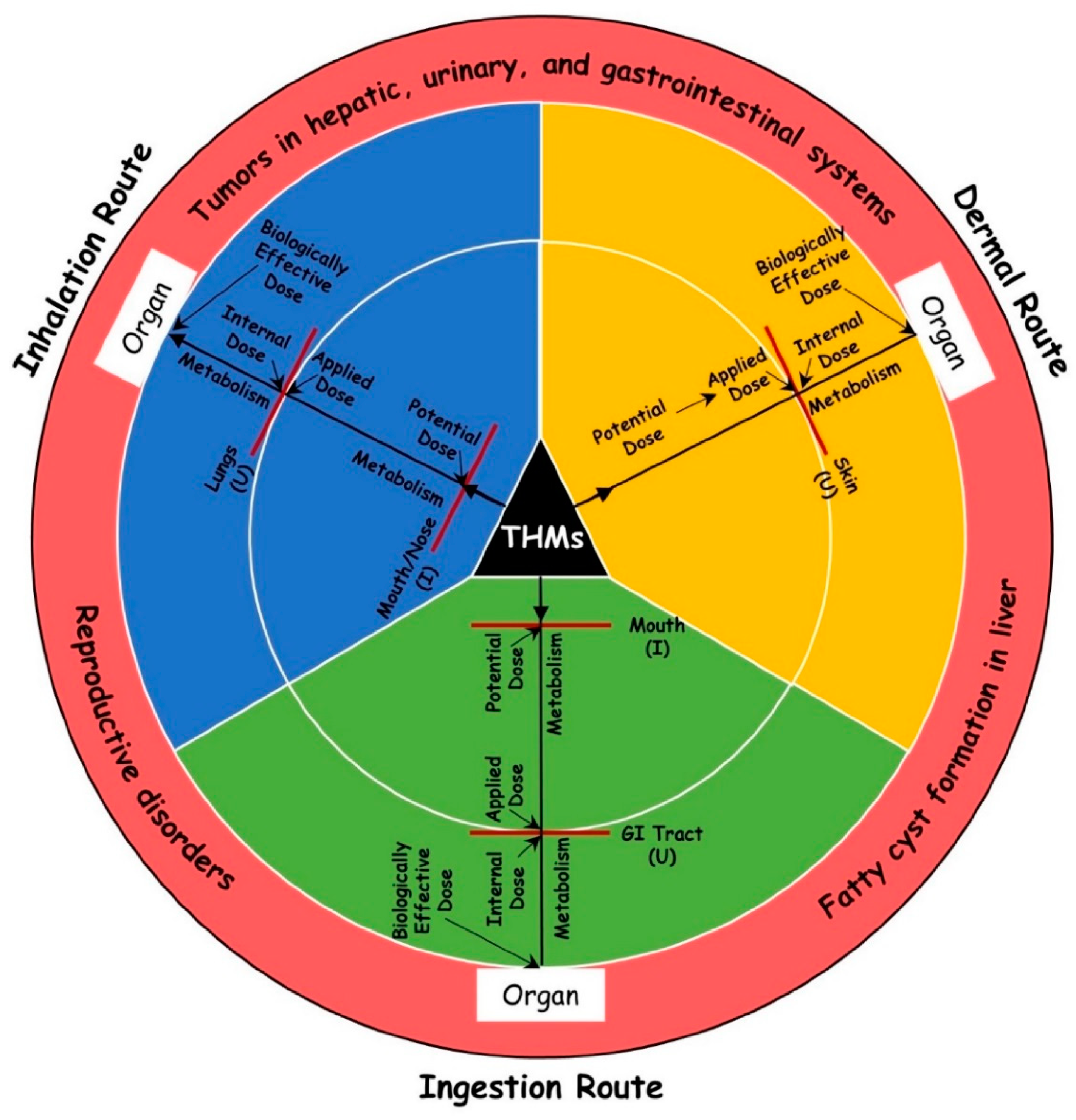 Toxics 11 00295 g001 Toxics 11 00295 g001
