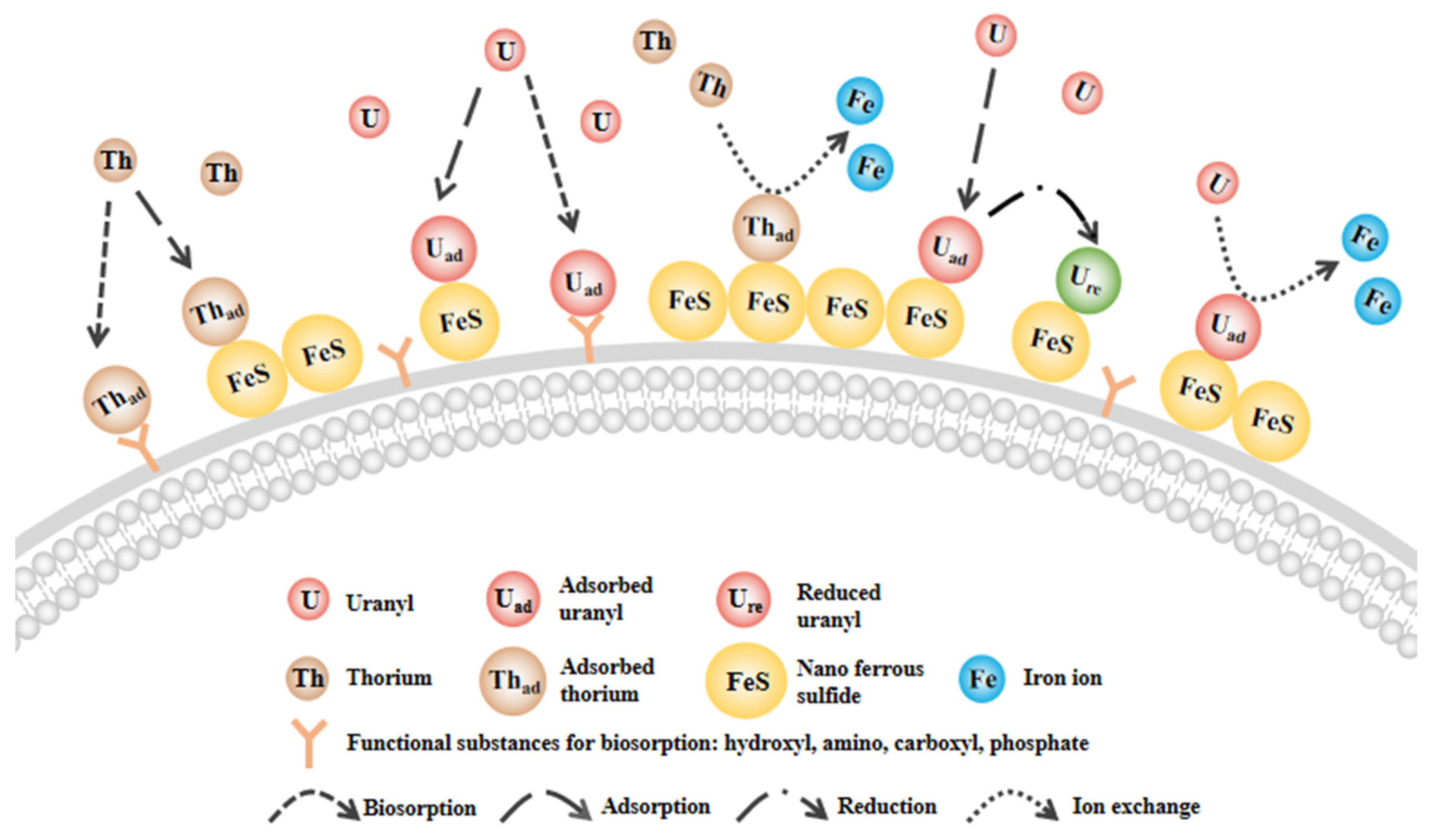 Toxics 11 00297 g016 Toxics 11 00297 g016
