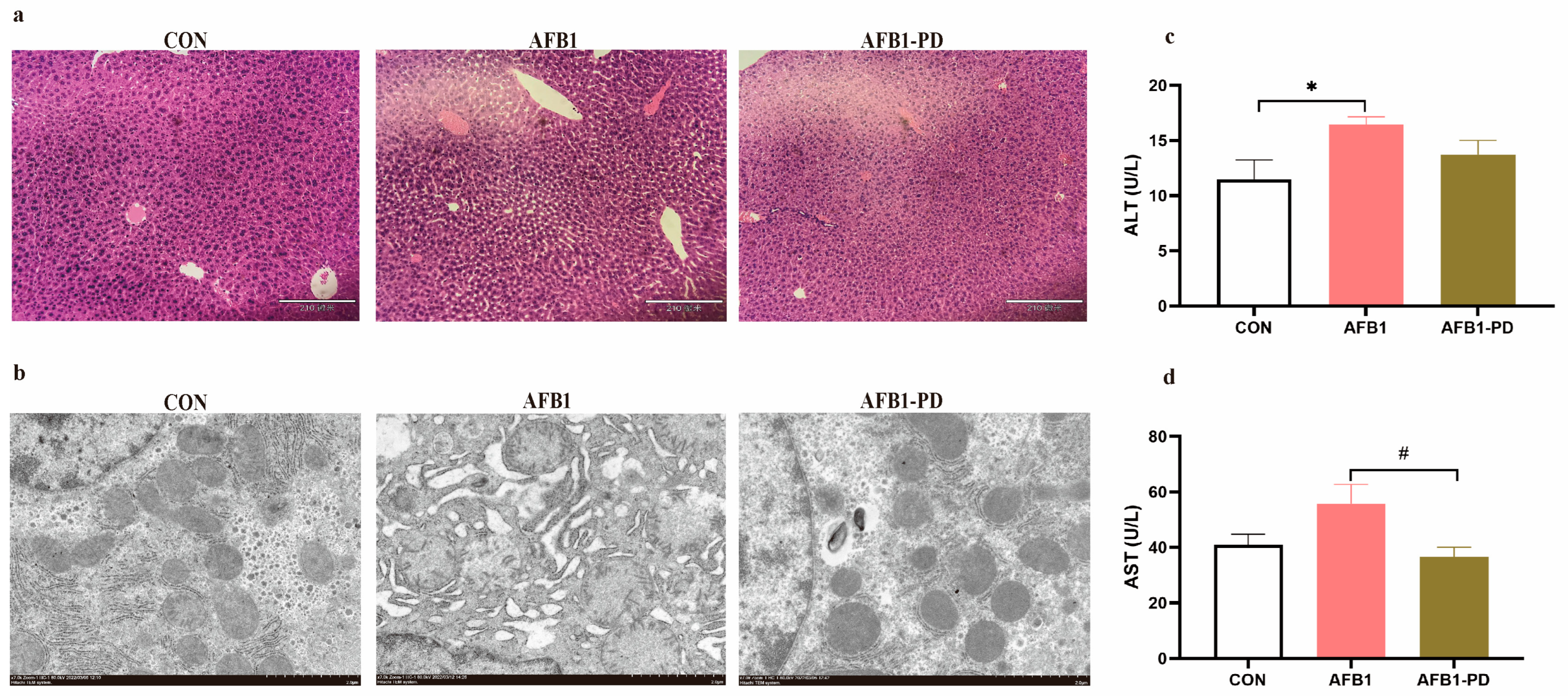 Toxics 11 00309 g001 Toxics 11 00309 g001