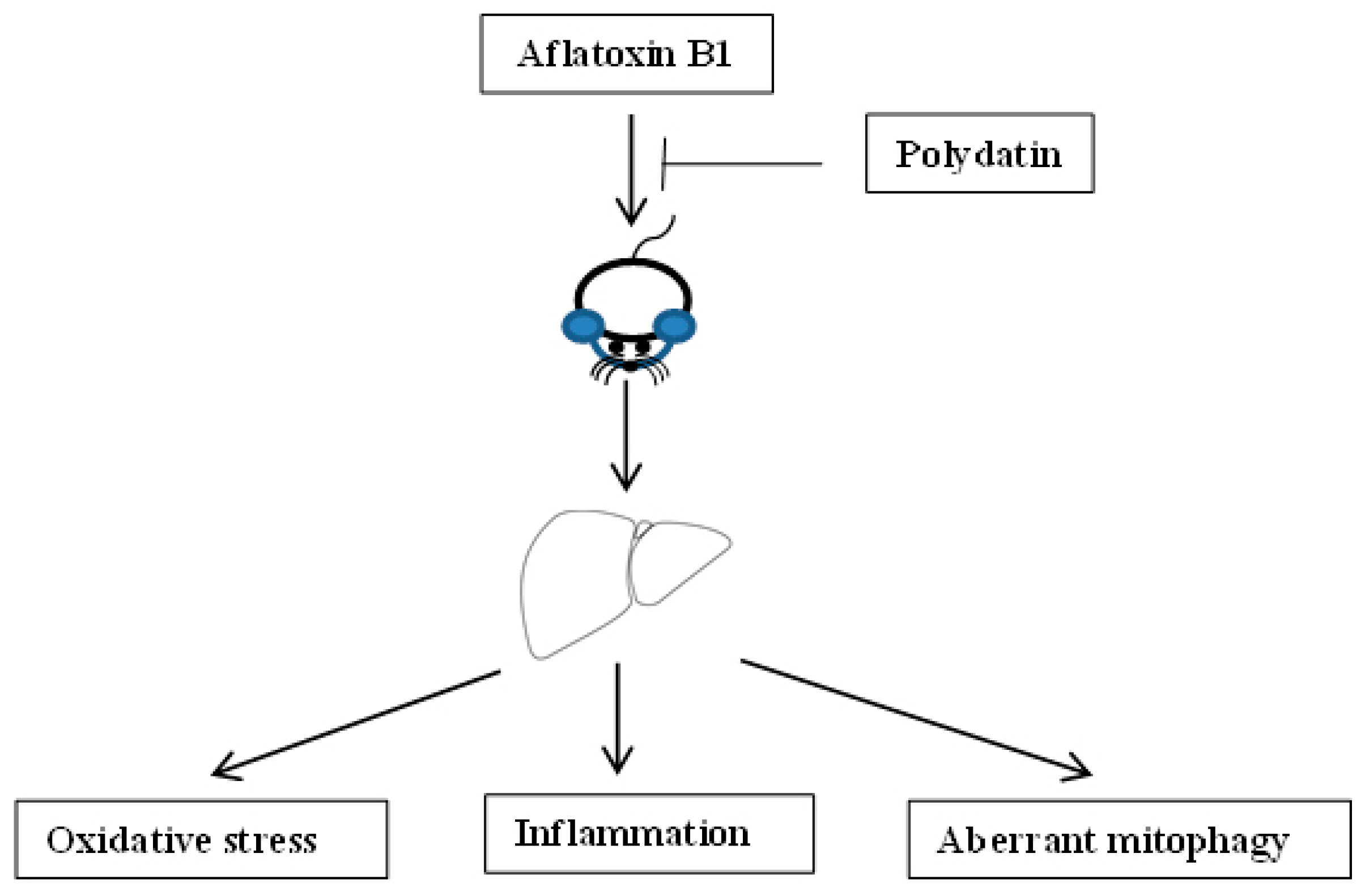 Toxics 11 00309 g005 Toxics 11 00309 g005