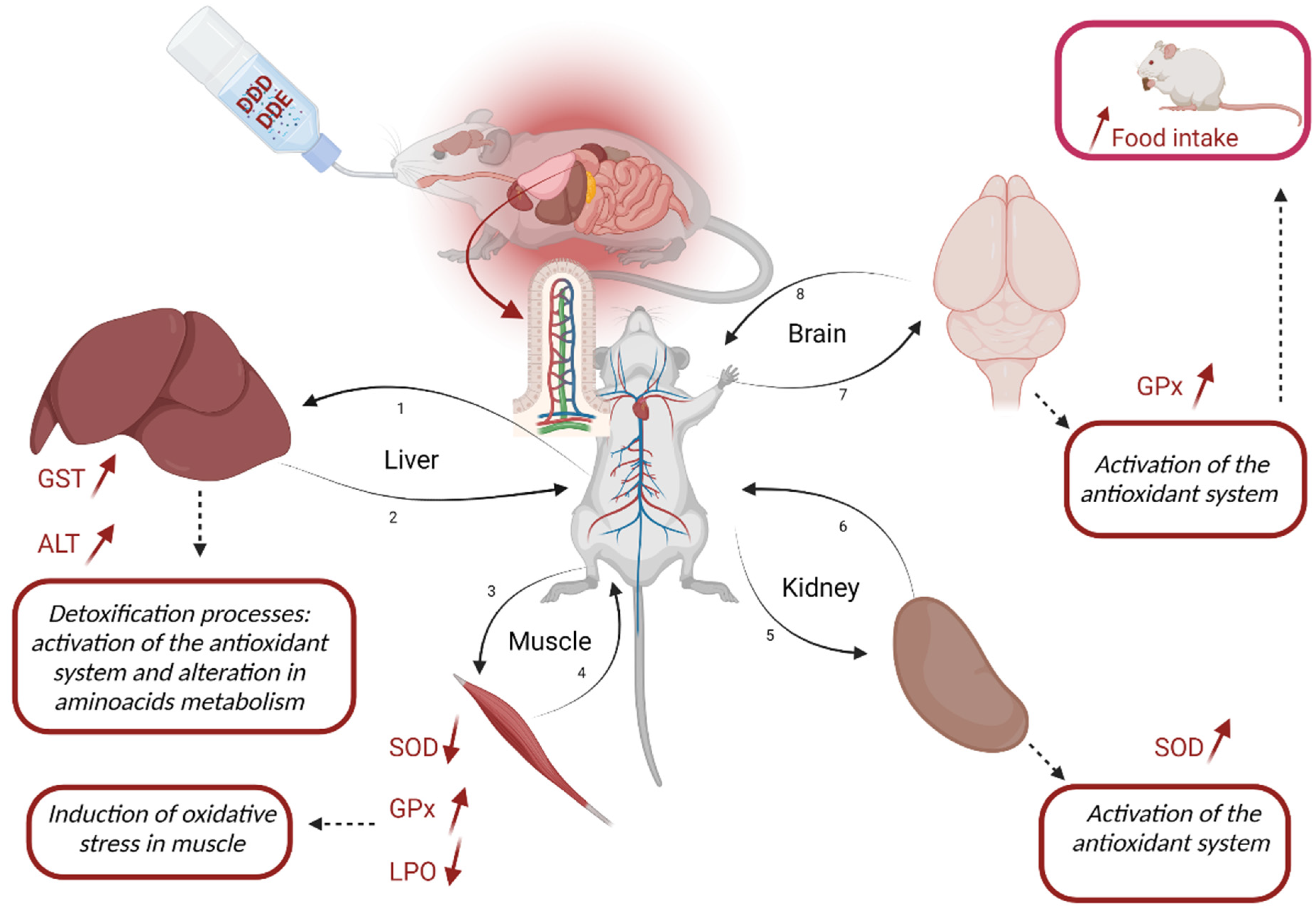 Toxics 11 00315 g004 Toxics 11 00315 g004