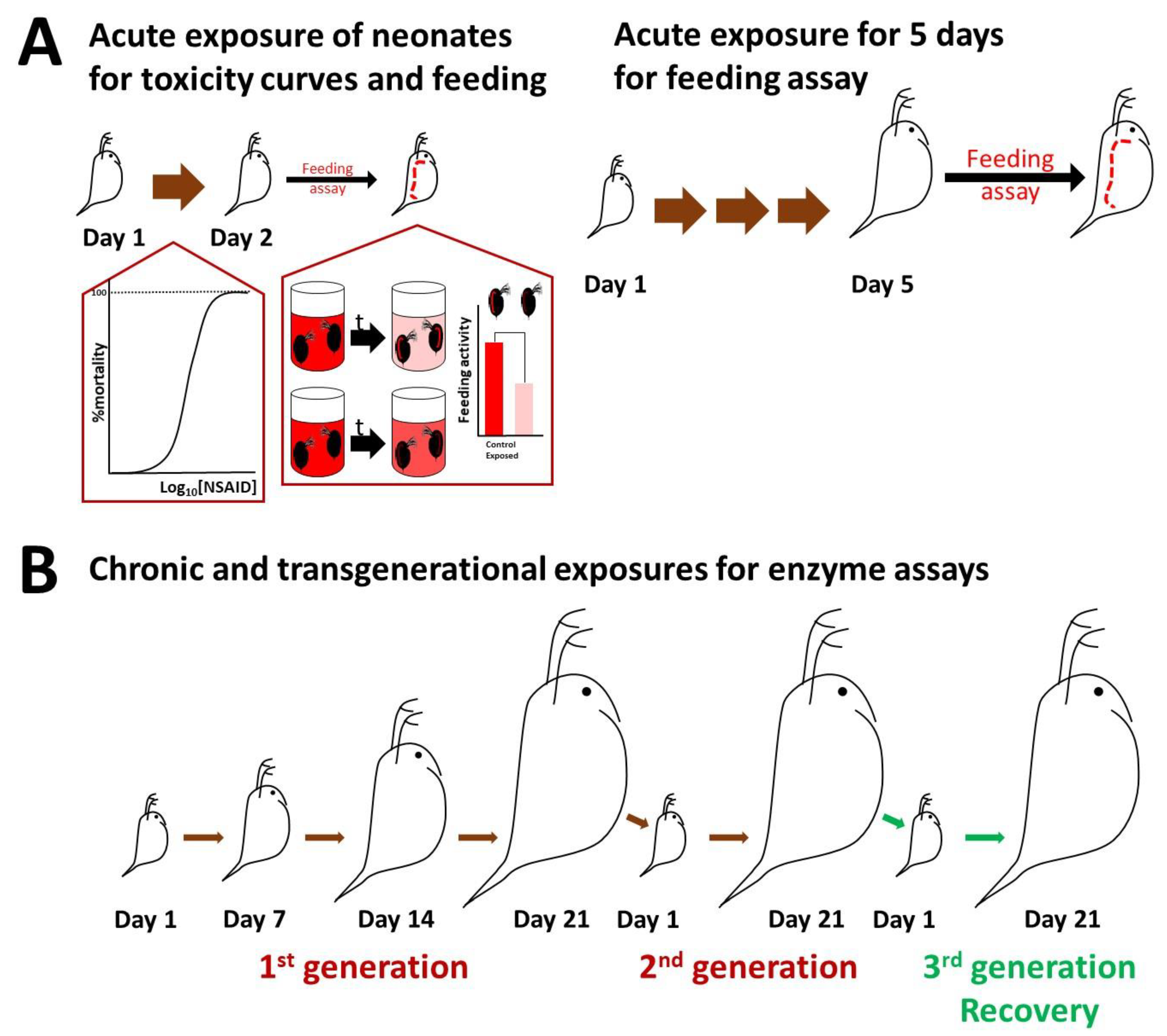 Toxics 11 00320 g001