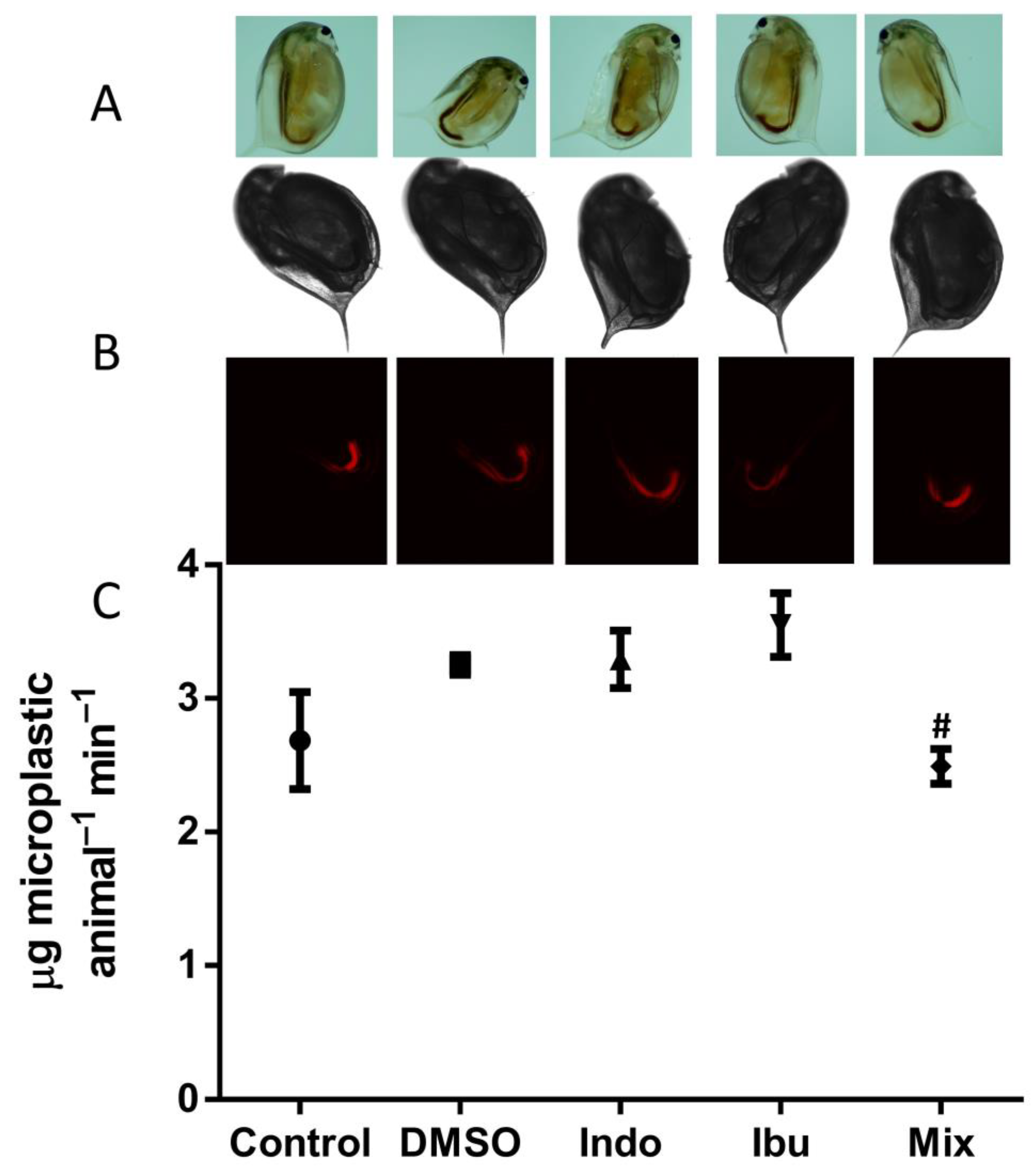 Toxics 11 00320 g004