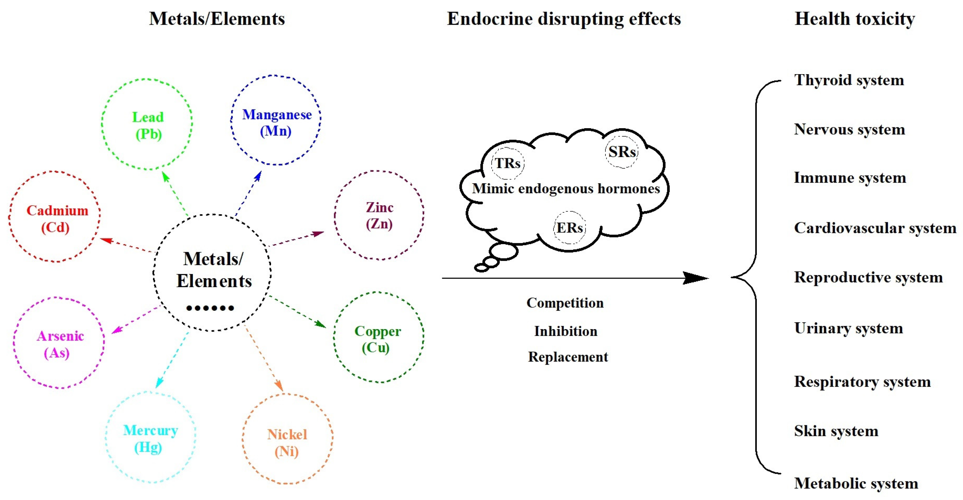 Toxics Free FullText Effects of EndocrineDisrupting Heavy Metals