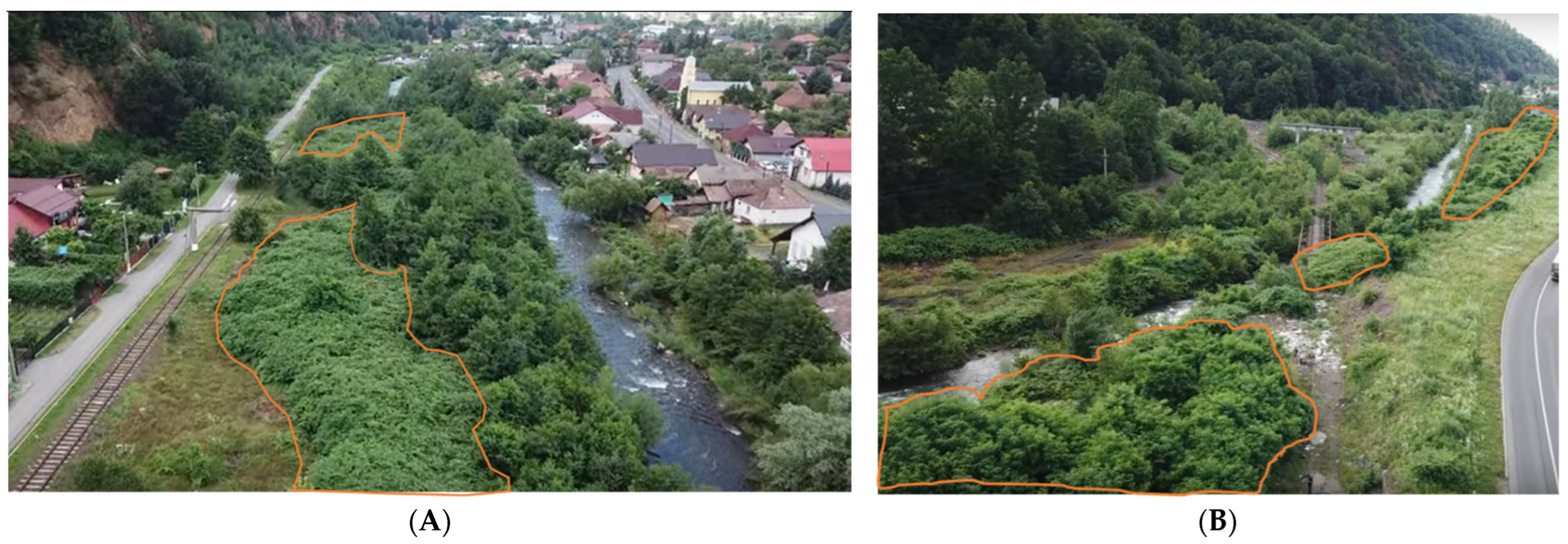 Toxics 11 00323 g002