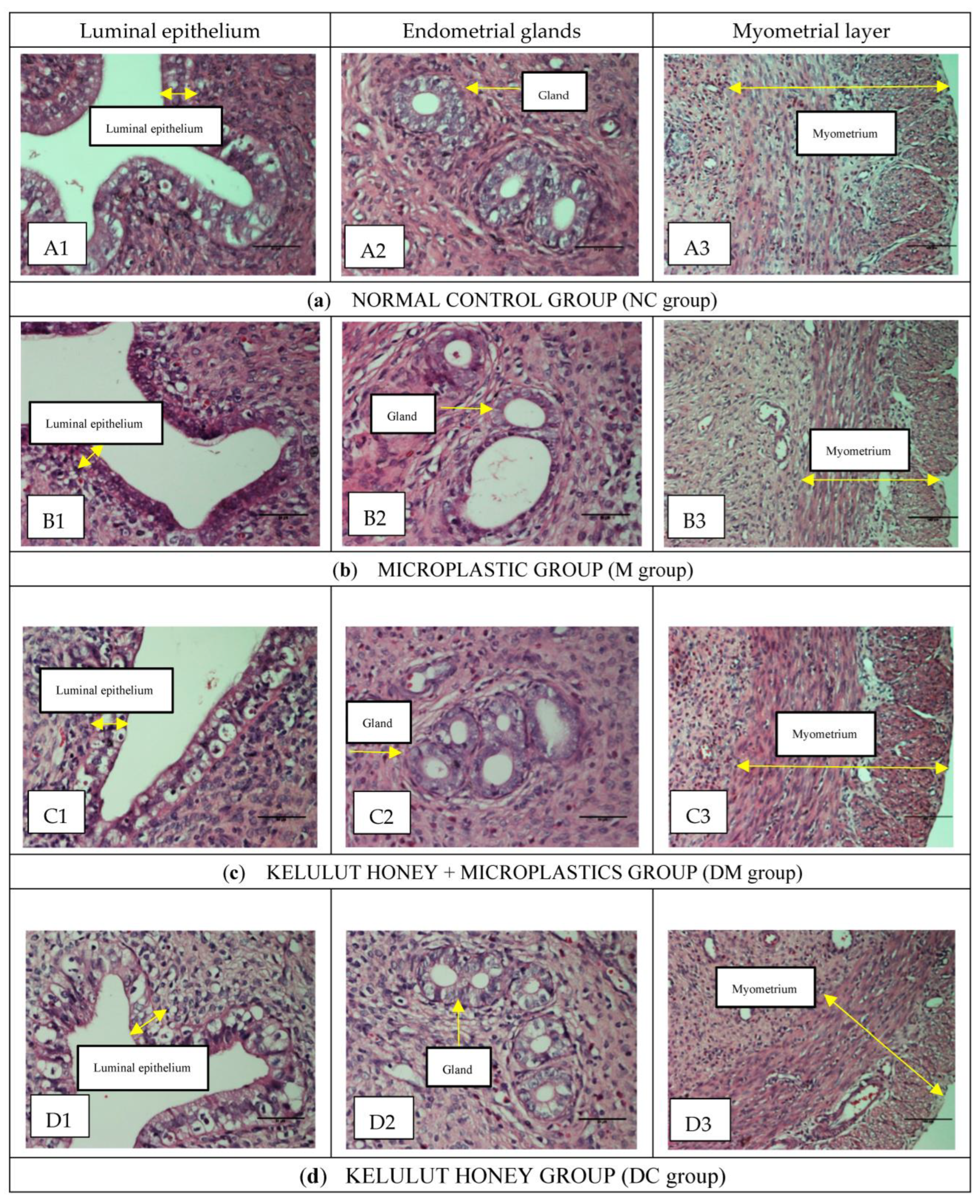 Toxics 11 00324 g002