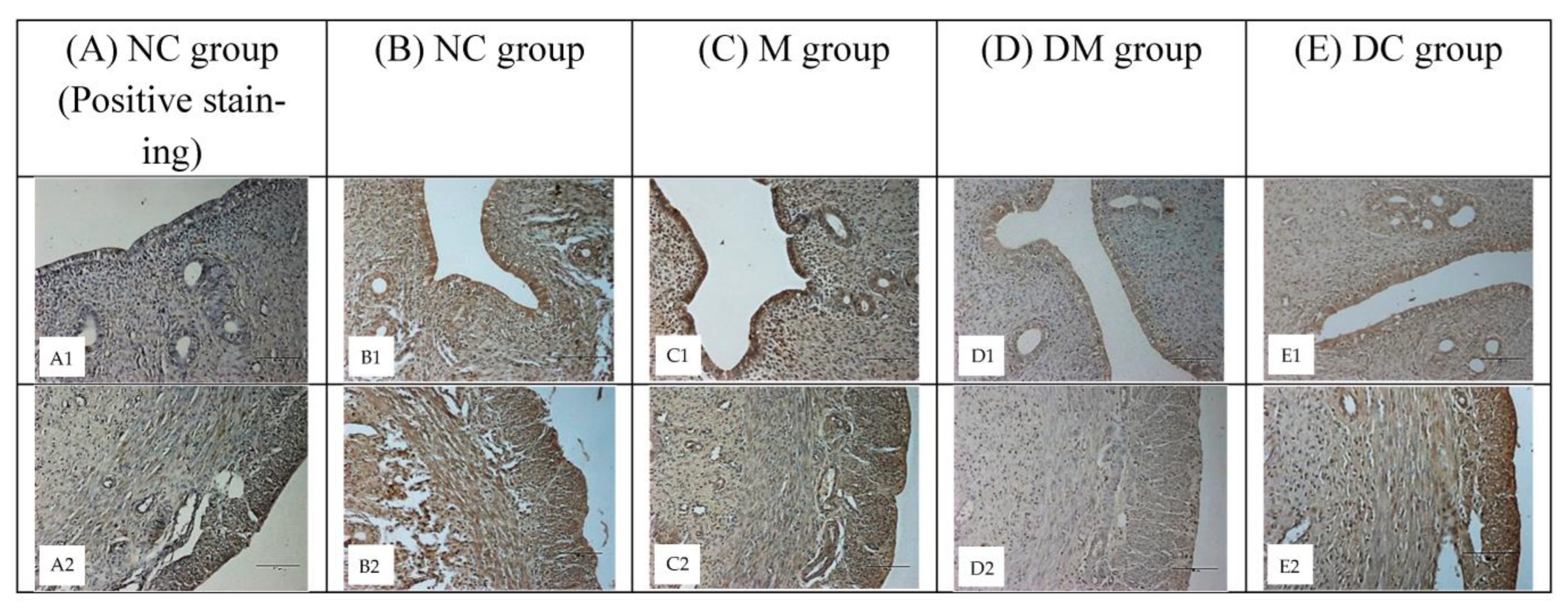 Toxics 11 00324 g005