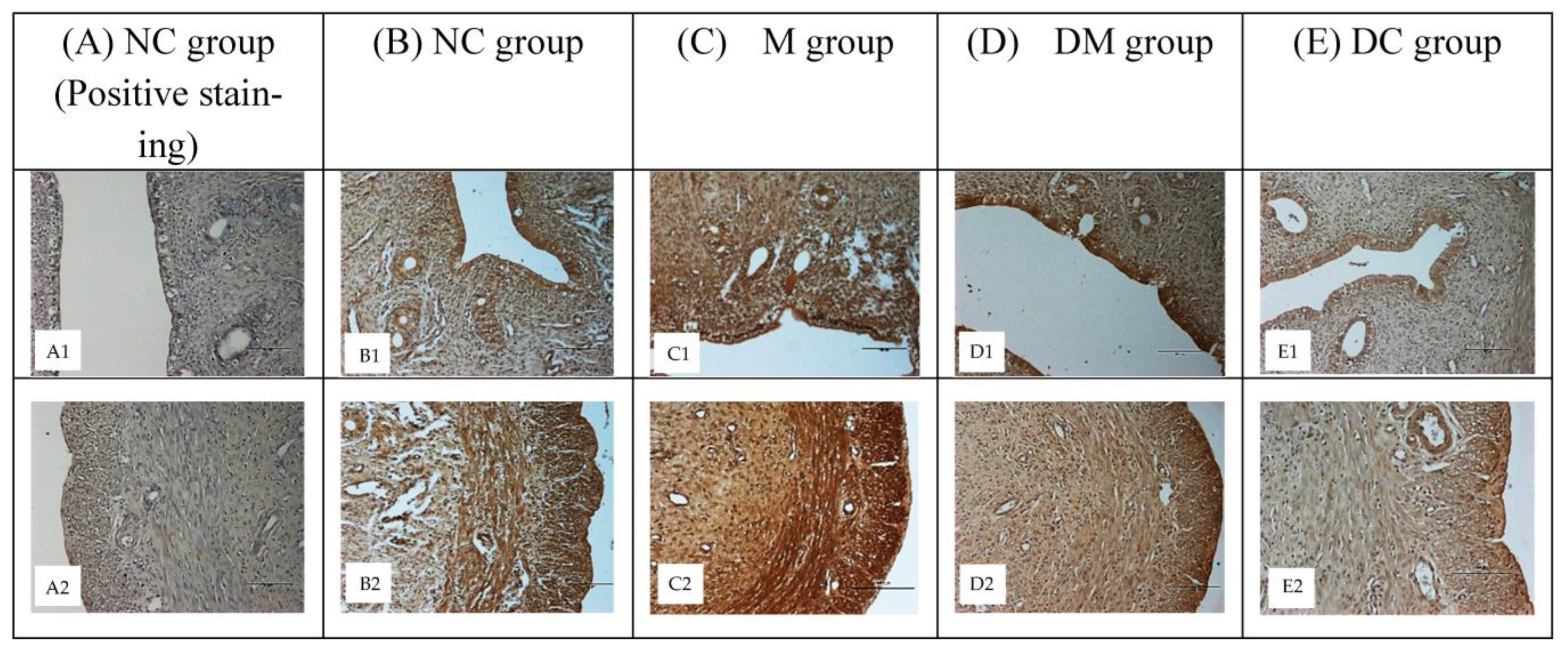 Toxics 11 00324 g006