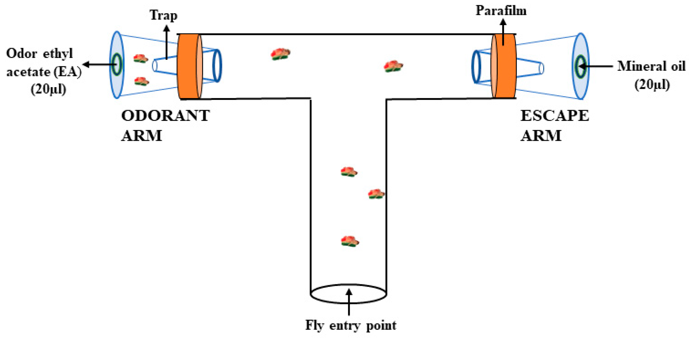 Toxics 11 00327 g002