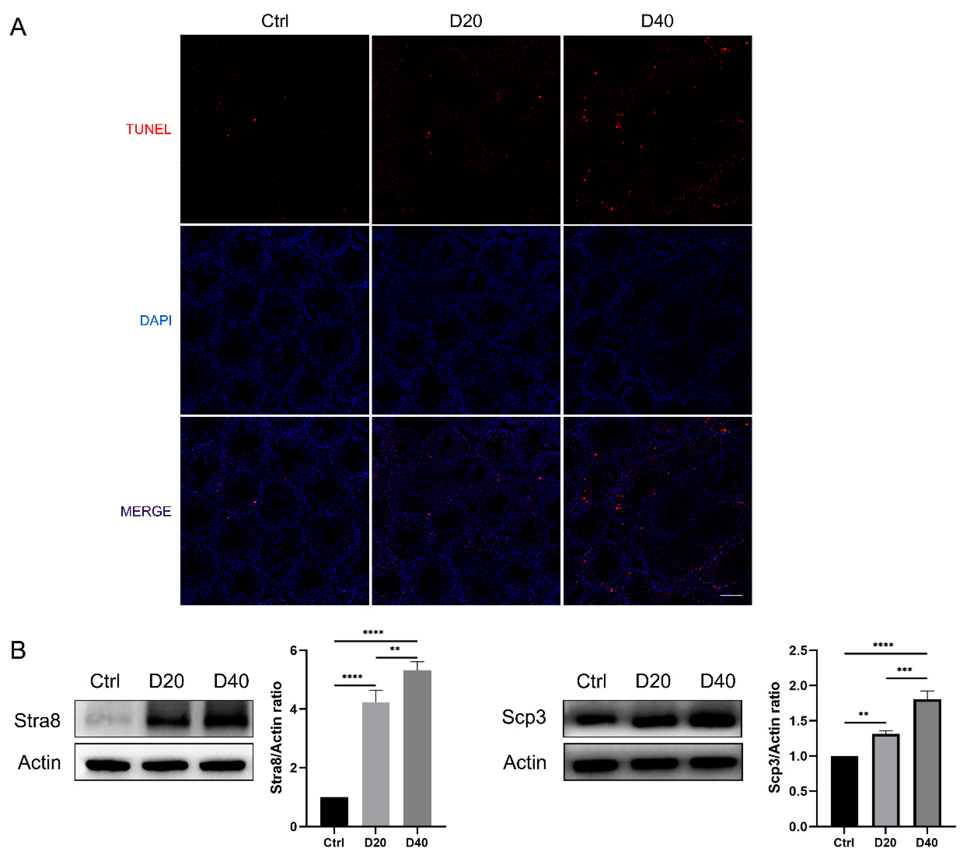 Toxics 11 00328 g003 Toxics 11 00328 g003