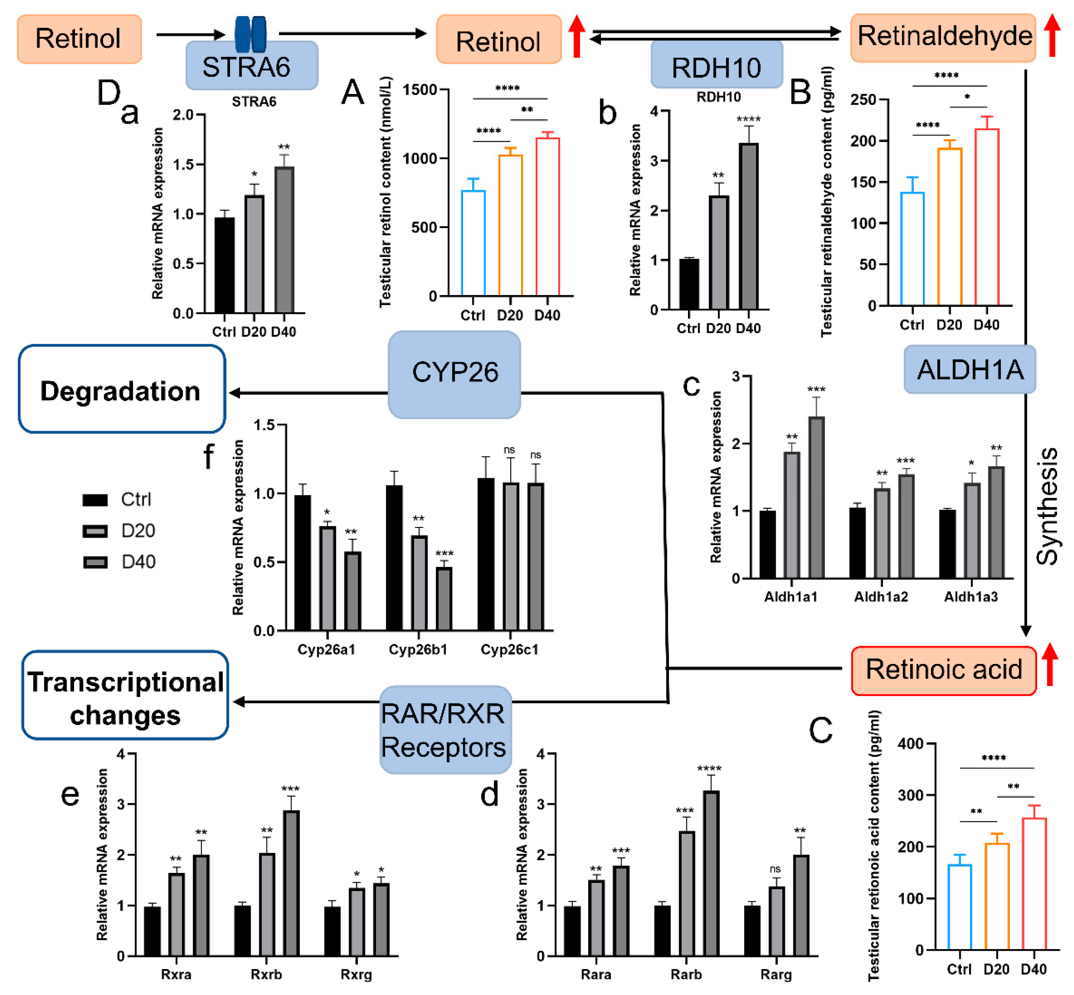 Toxics 11 00328 g004 Toxics 11 00328 g004