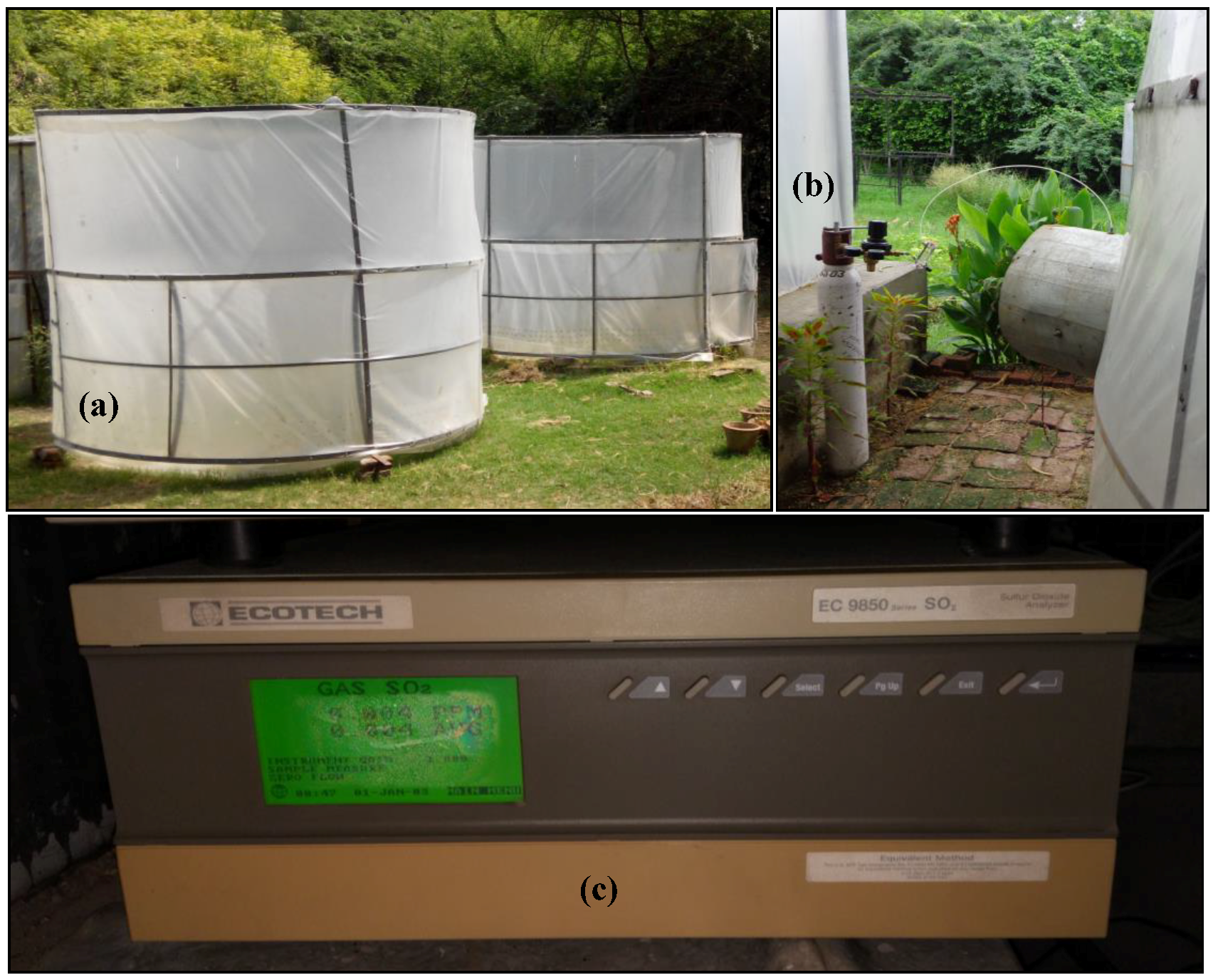 Toxics 11 00334 g001