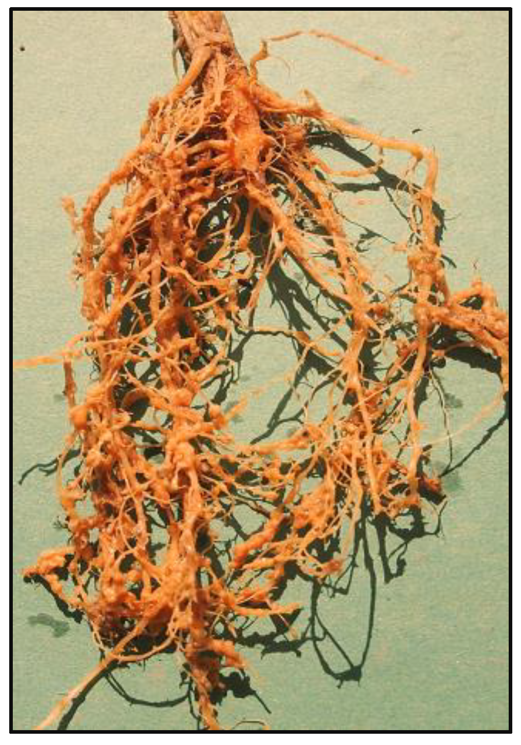 Toxics 11 00334 g002