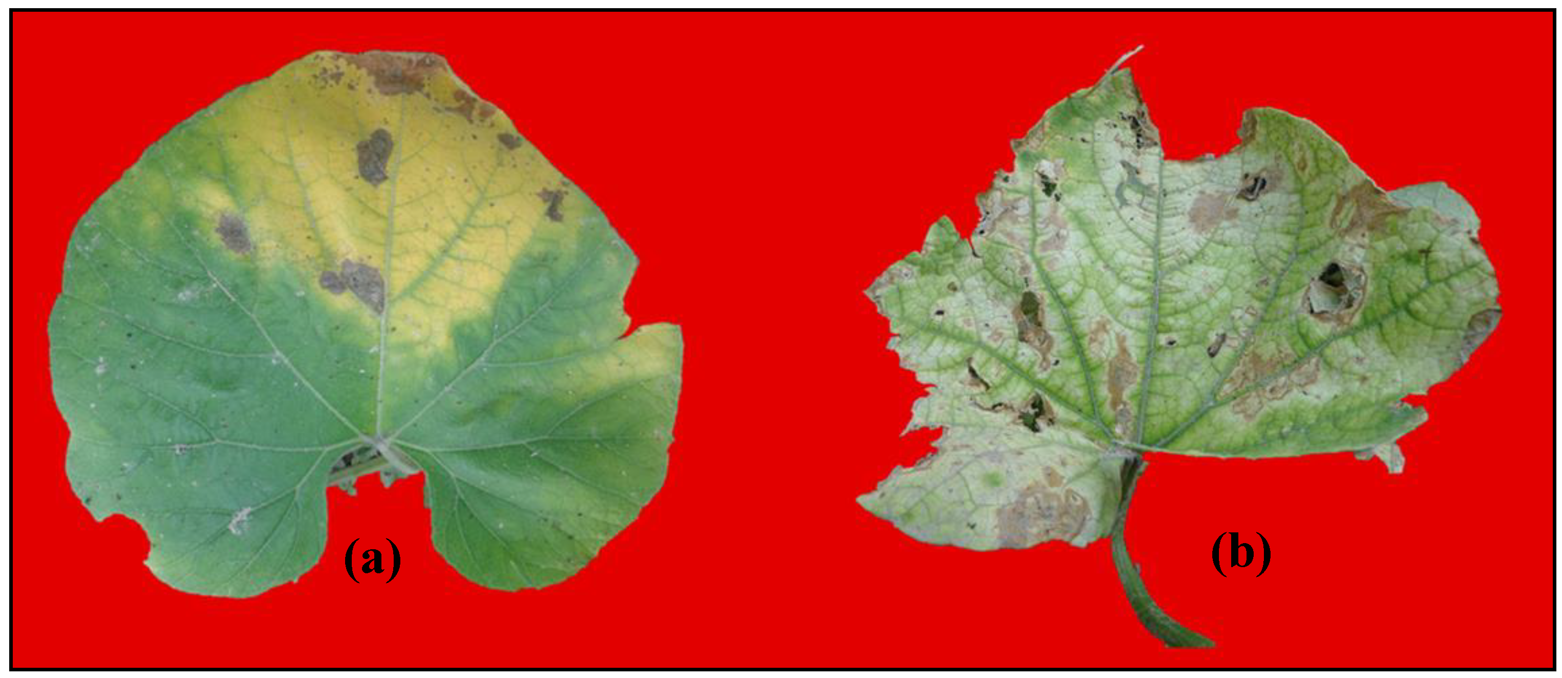 Toxics 11 00334 g005