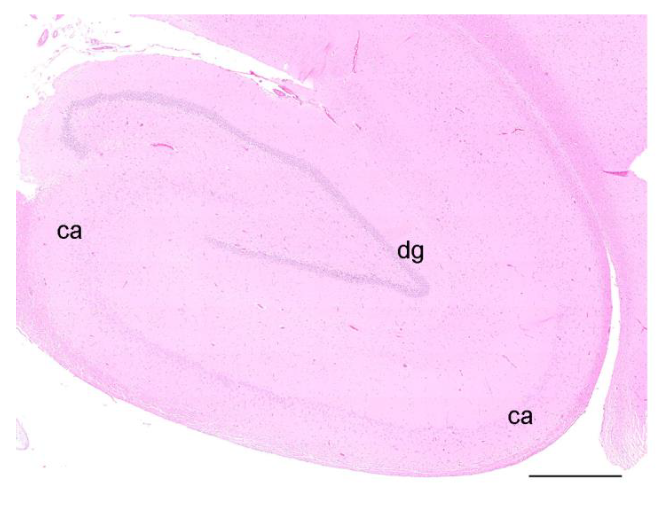 Toxics 11 00338 g002 Toxics 11 00338 g002