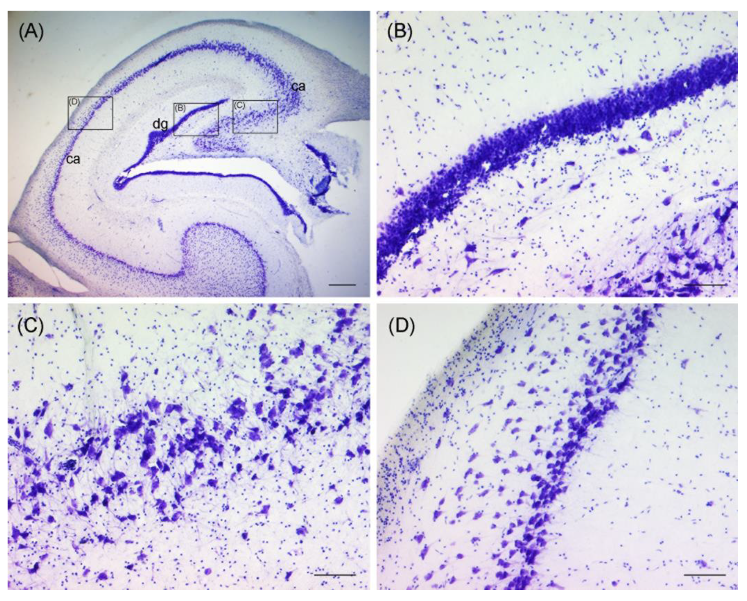Toxics 11 00338 g003 Toxics 11 00338 g003