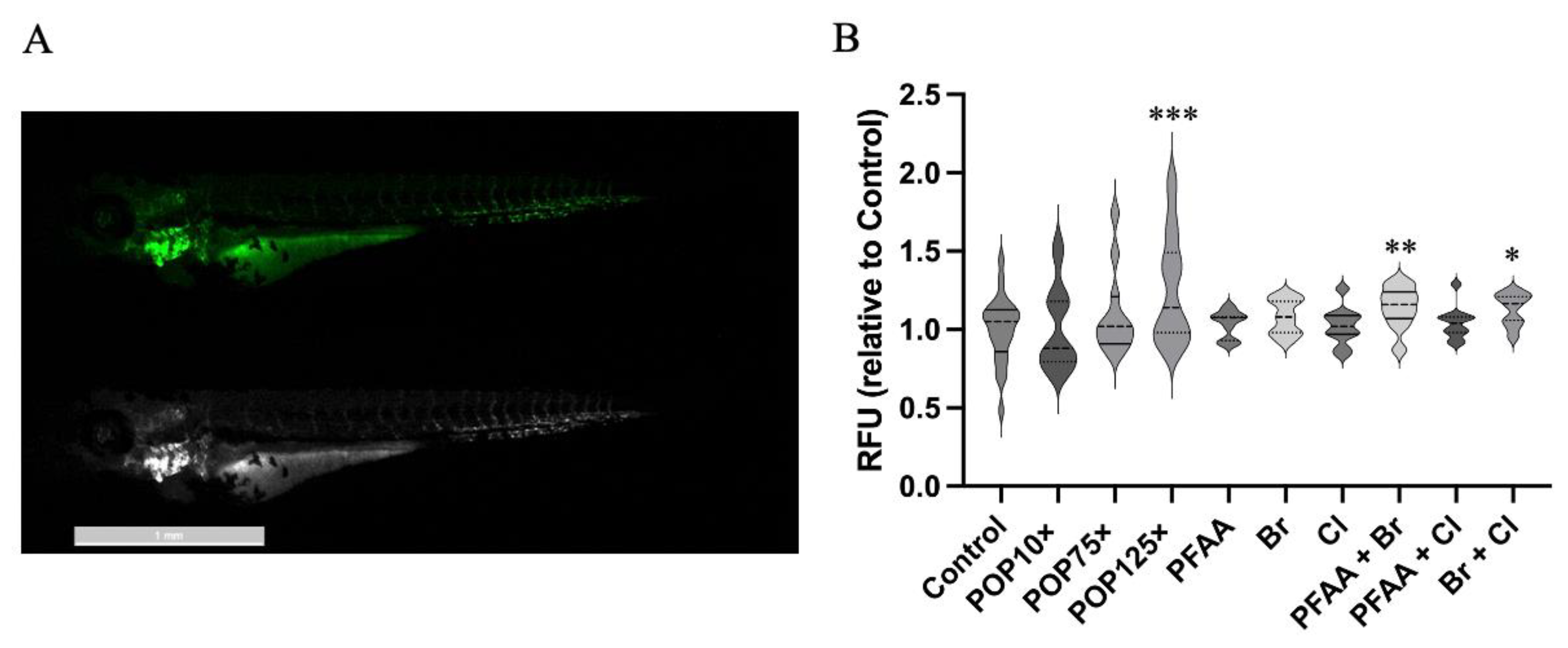 Toxics 11 00357 g008 Toxics 11 00357 g008