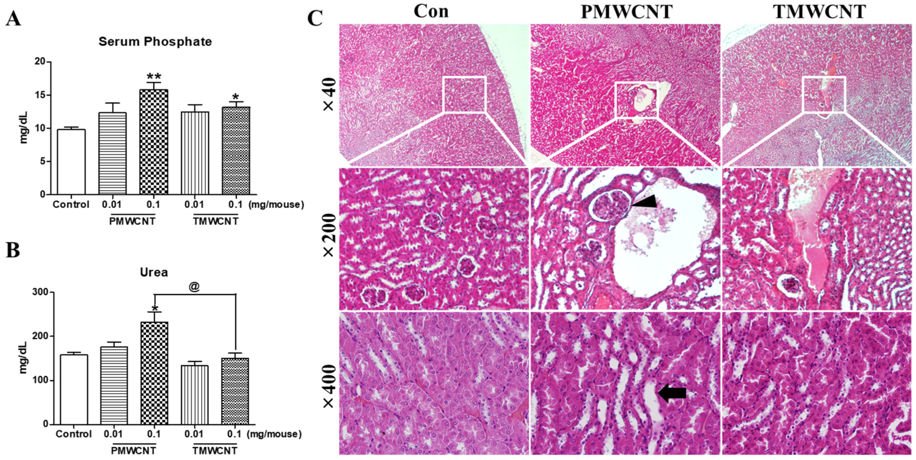 Toxics 11 00373 g003 Toxics 11 00373 g003