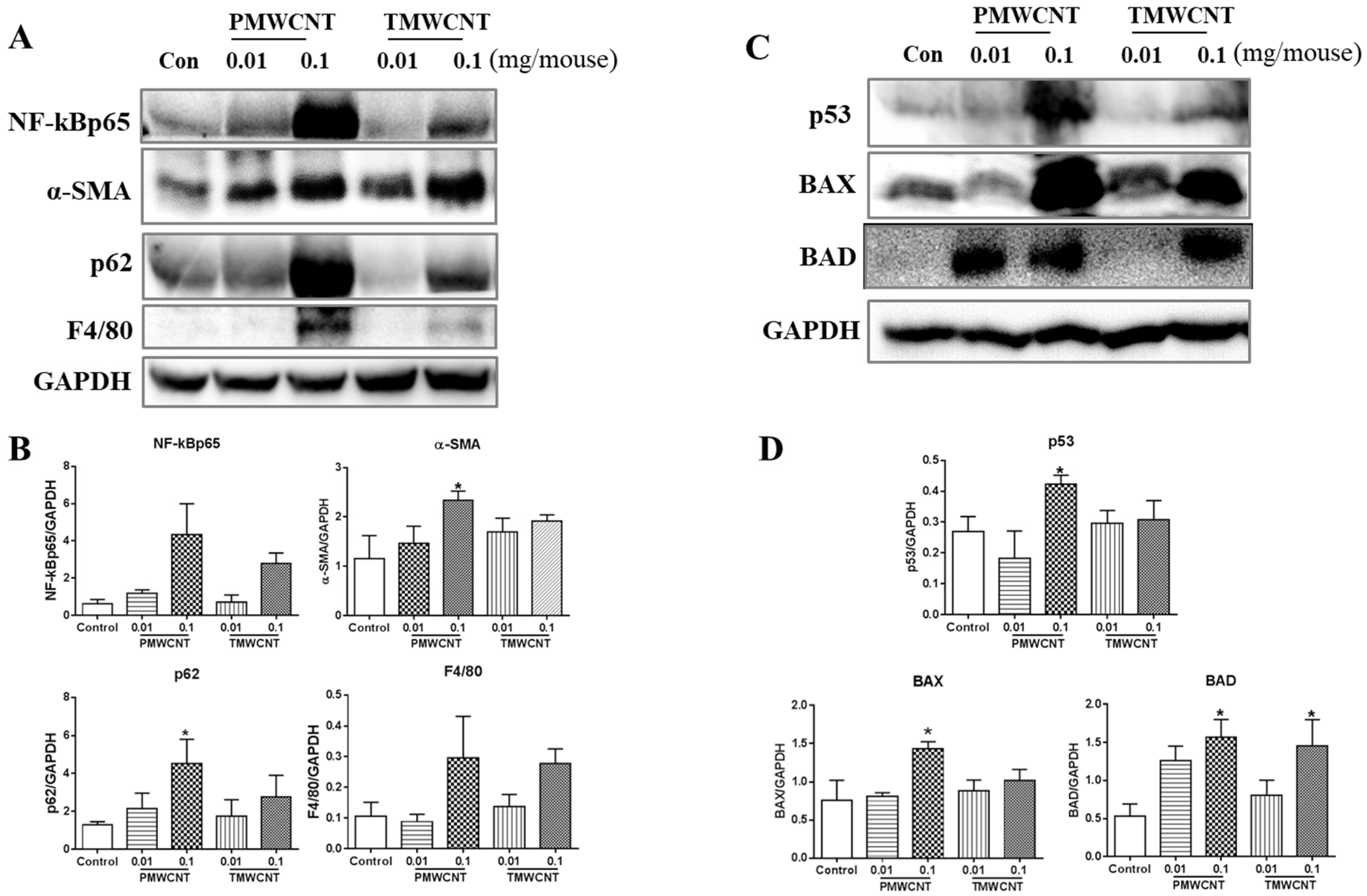 Toxics 11 00373 g005 Toxics 11 00373 g005
