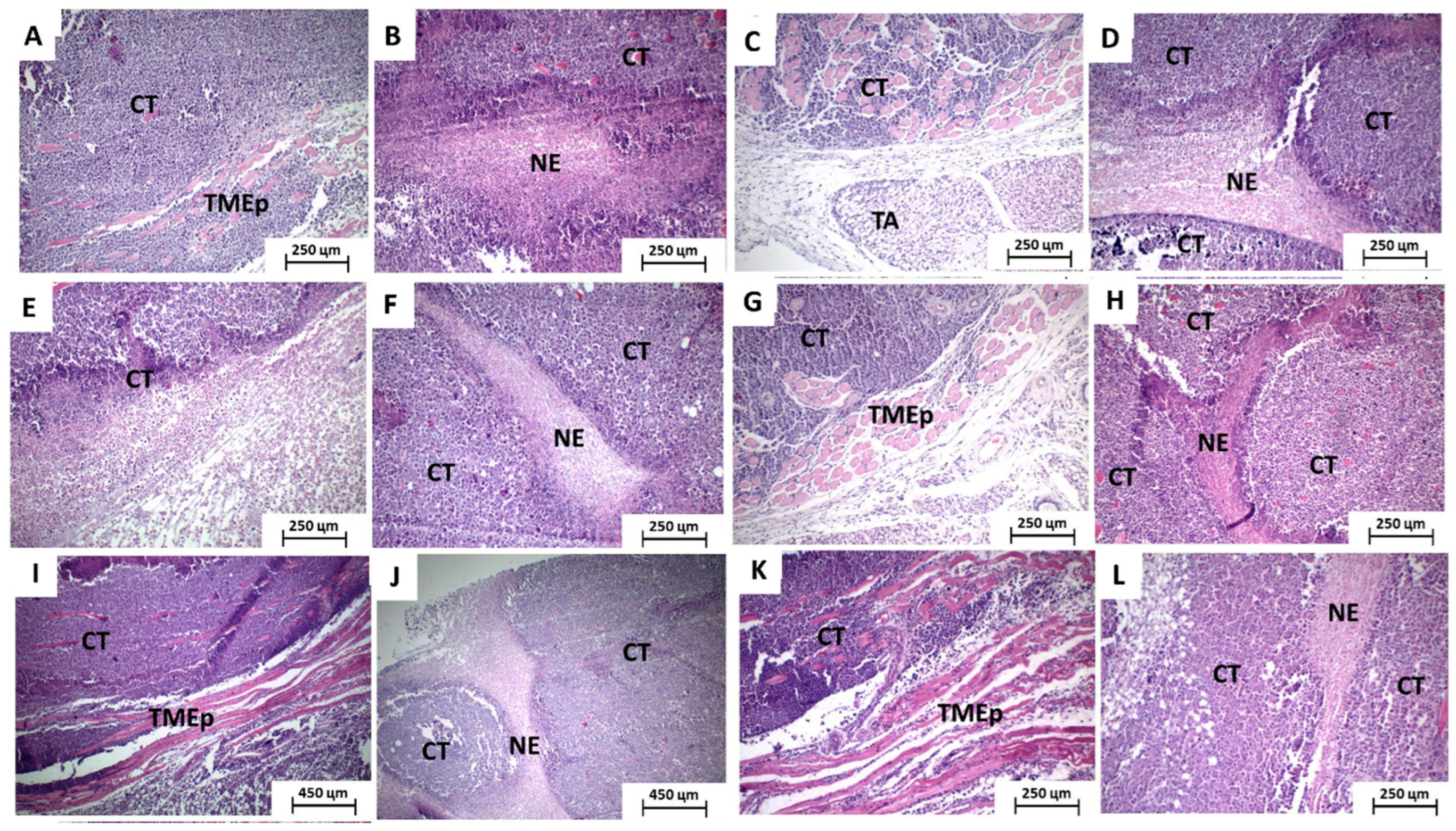 Toxics 11 00375 g003
