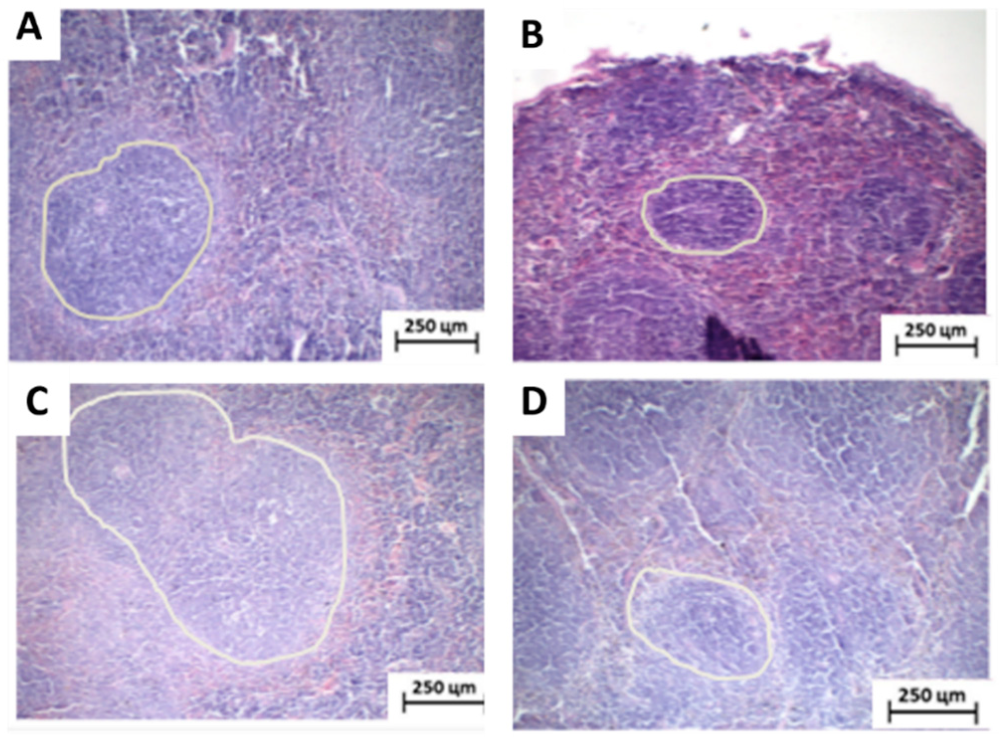 Toxics 11 00375 g007