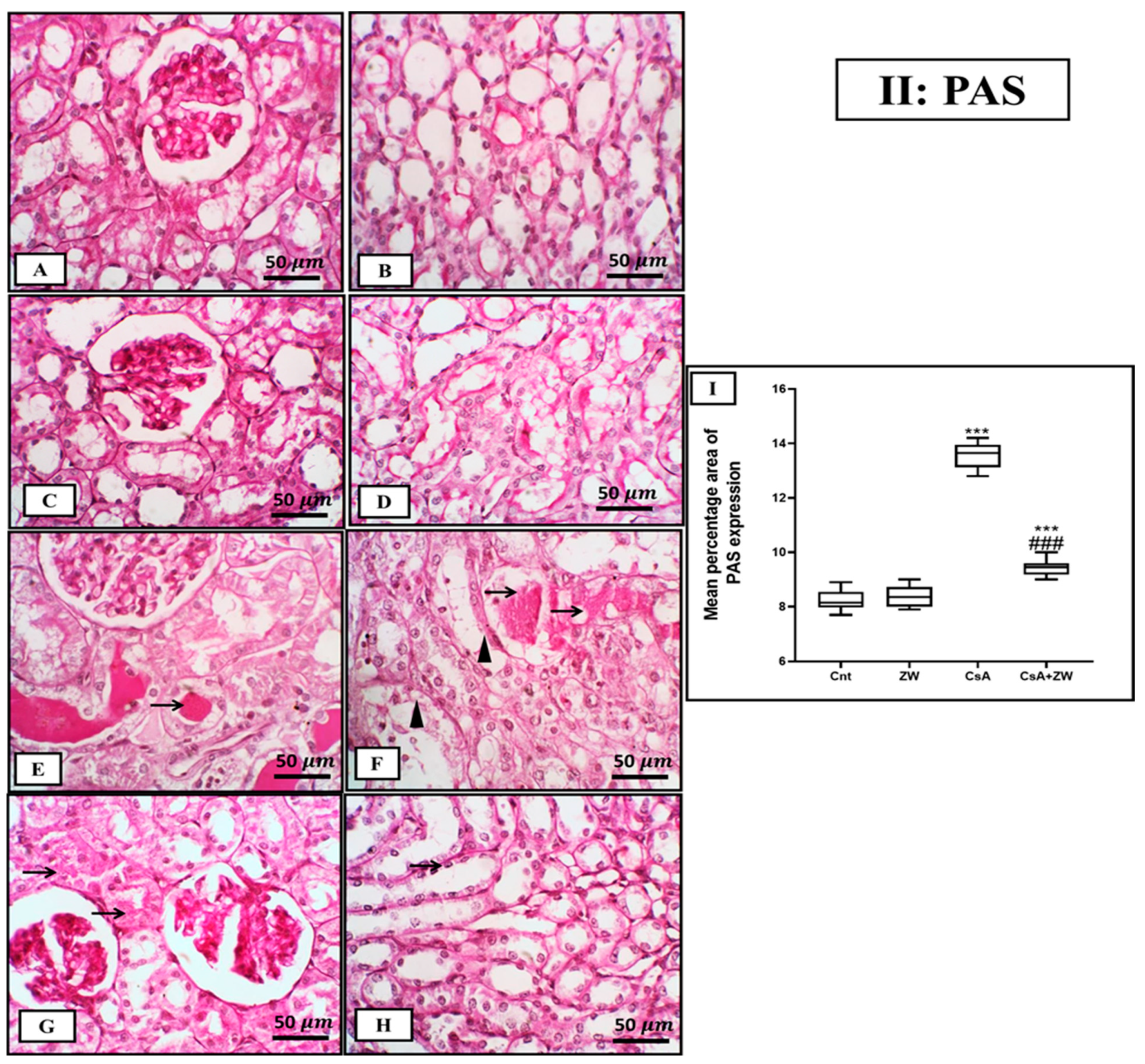 Toxics 11 00377 g002