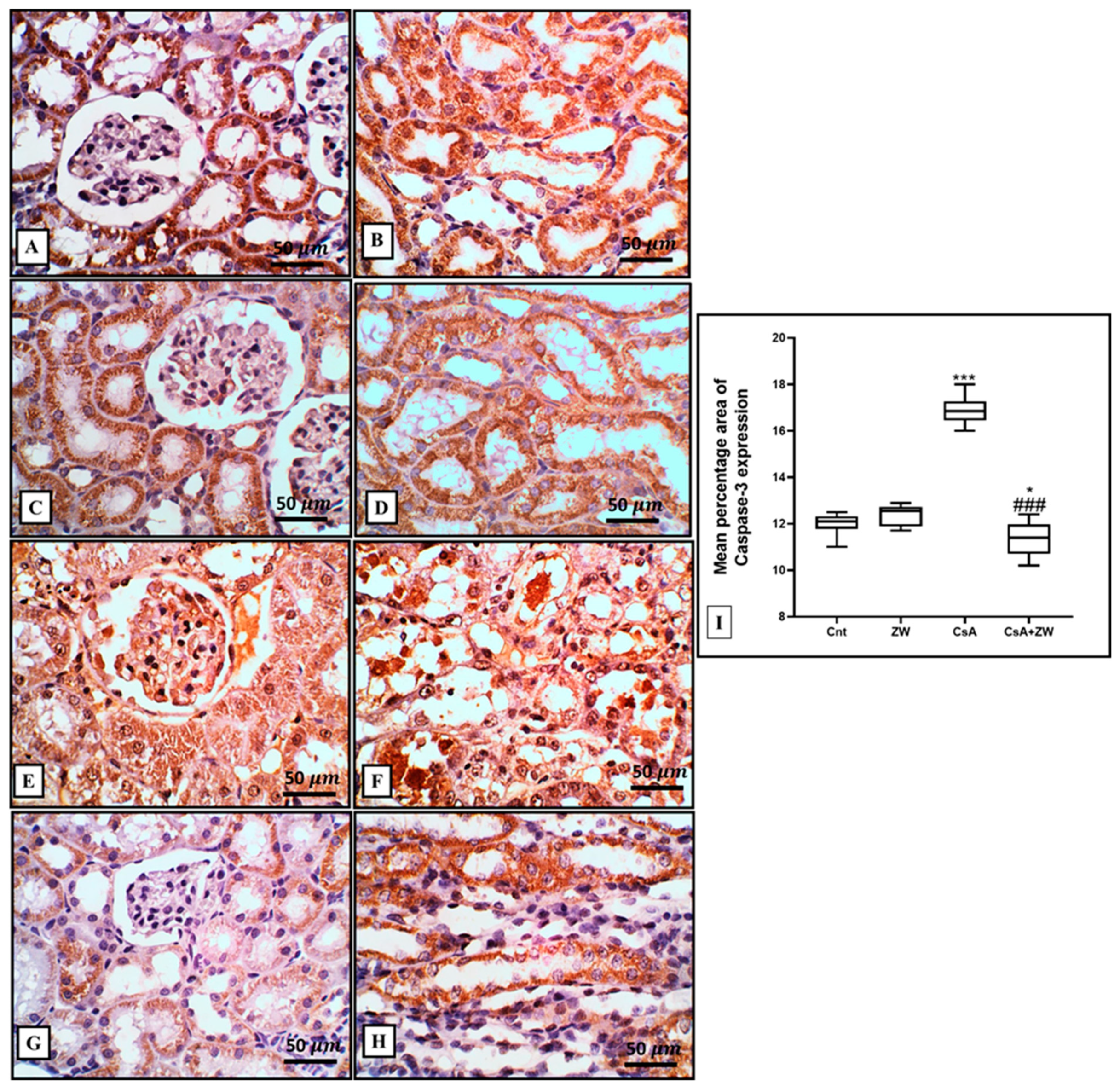 Toxics 11 00377 g004