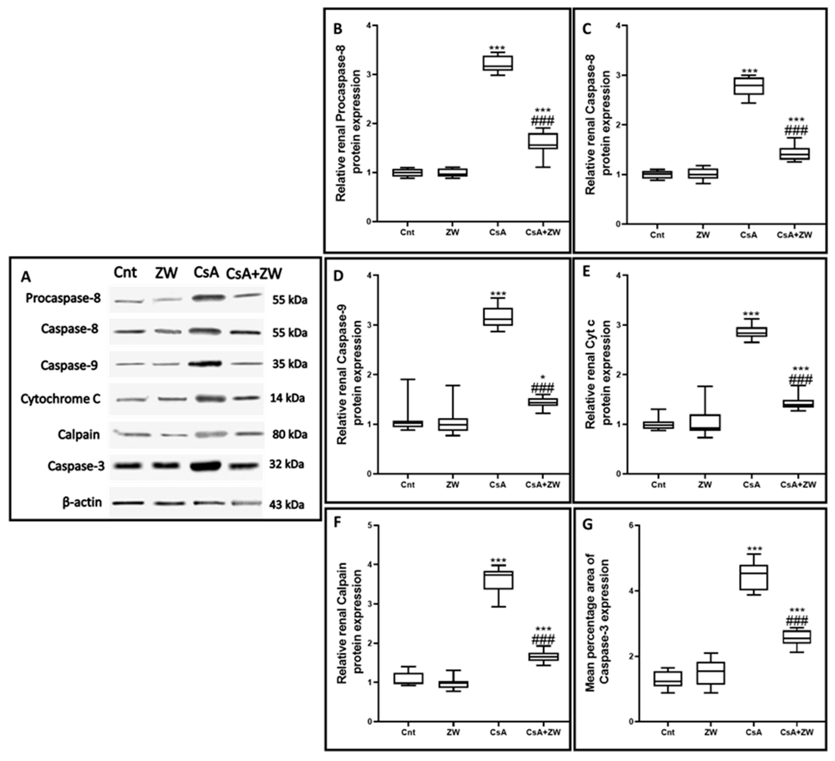 Toxics 11 00377 g005