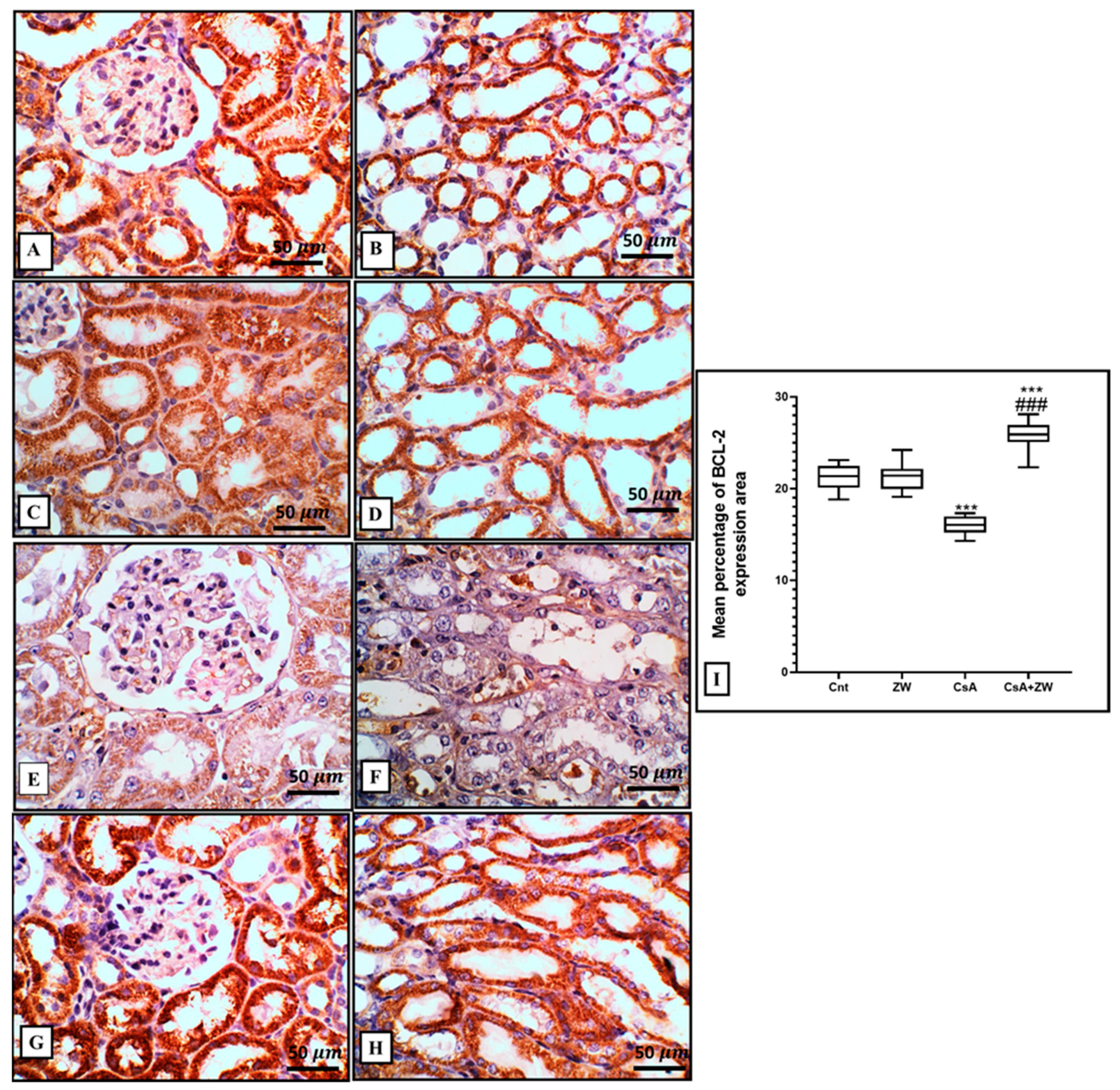 Toxics 11 00377 g006