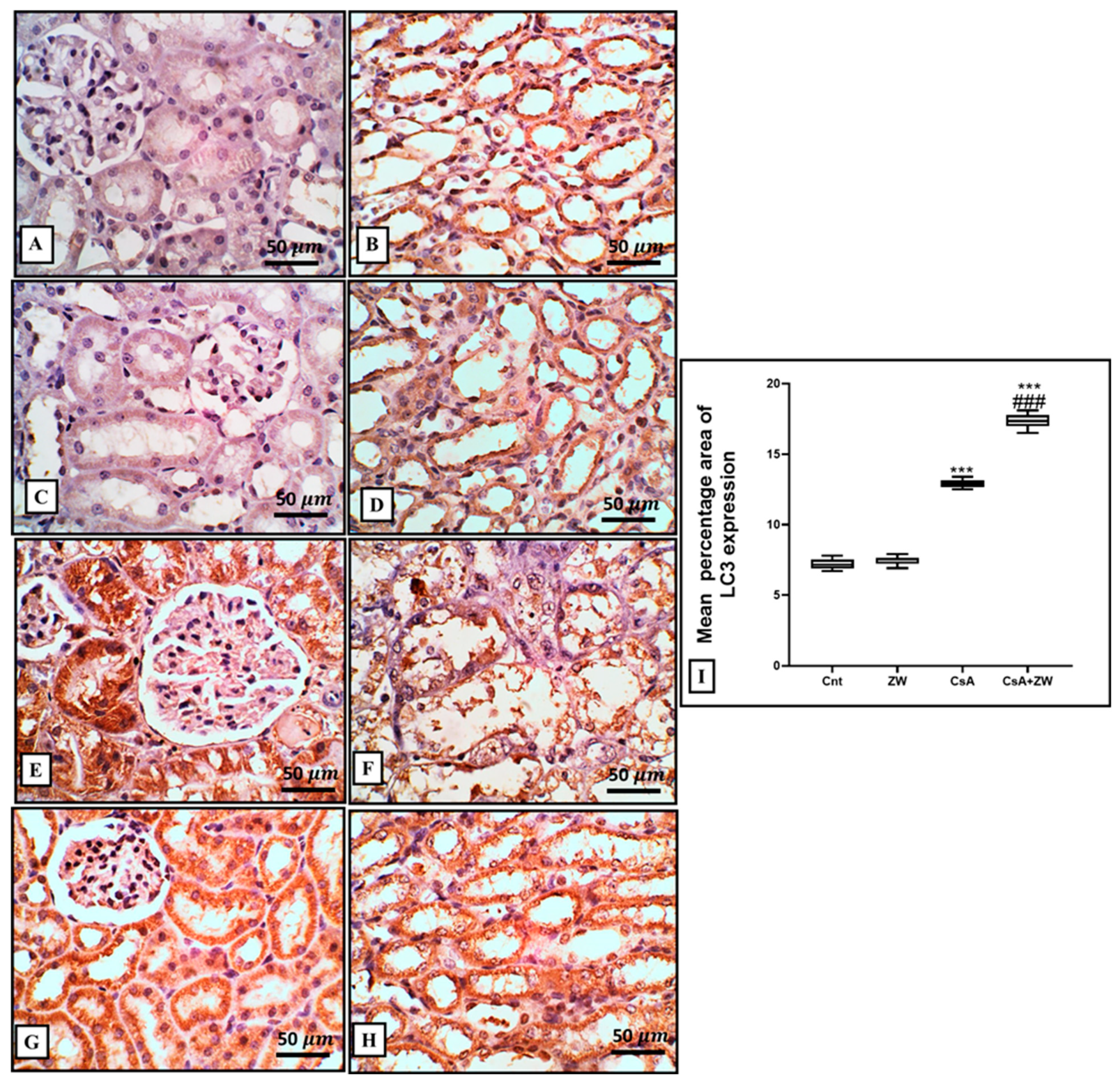 Toxics 11 00377 g009