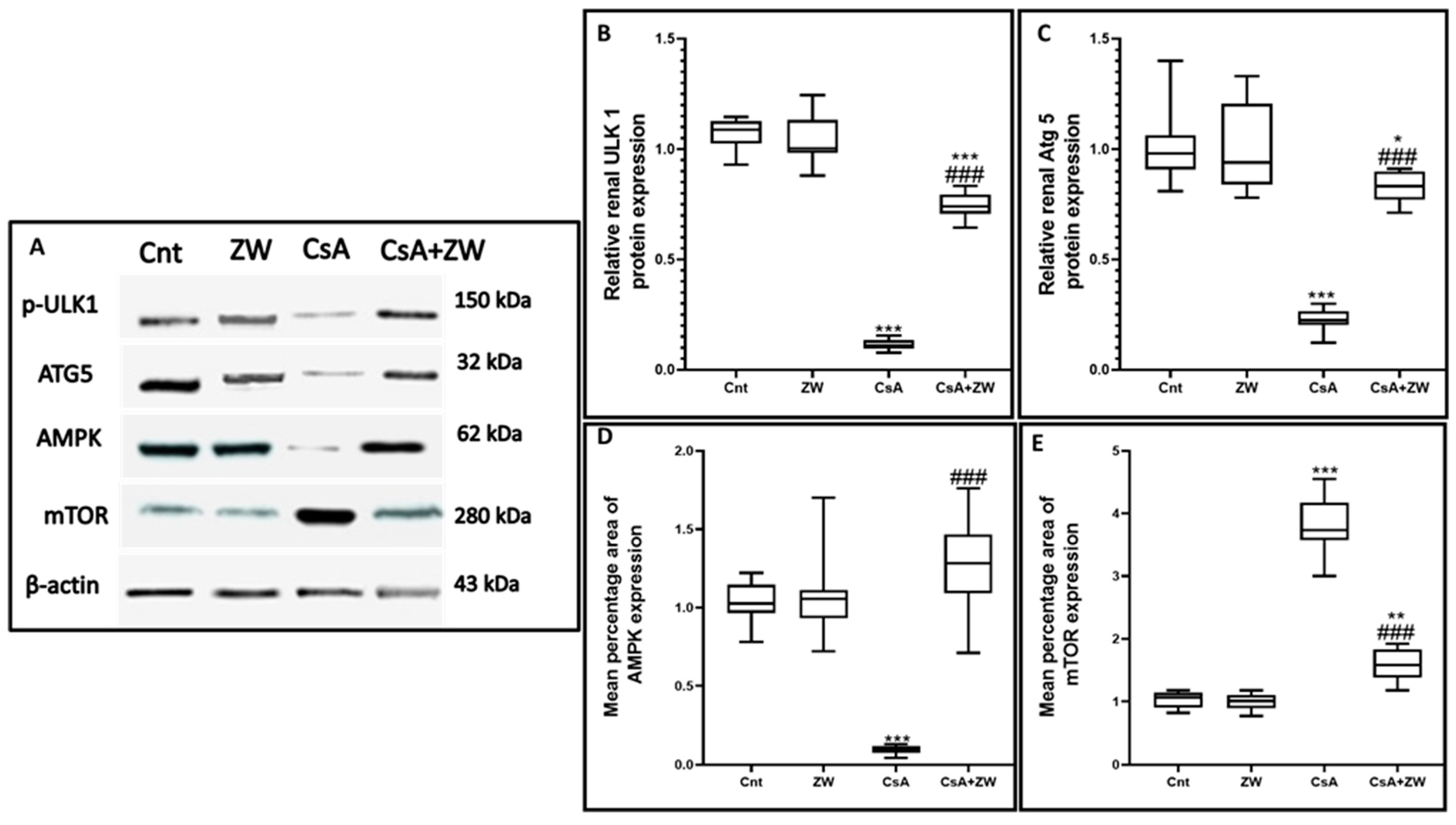 Toxics 11 00377 g010