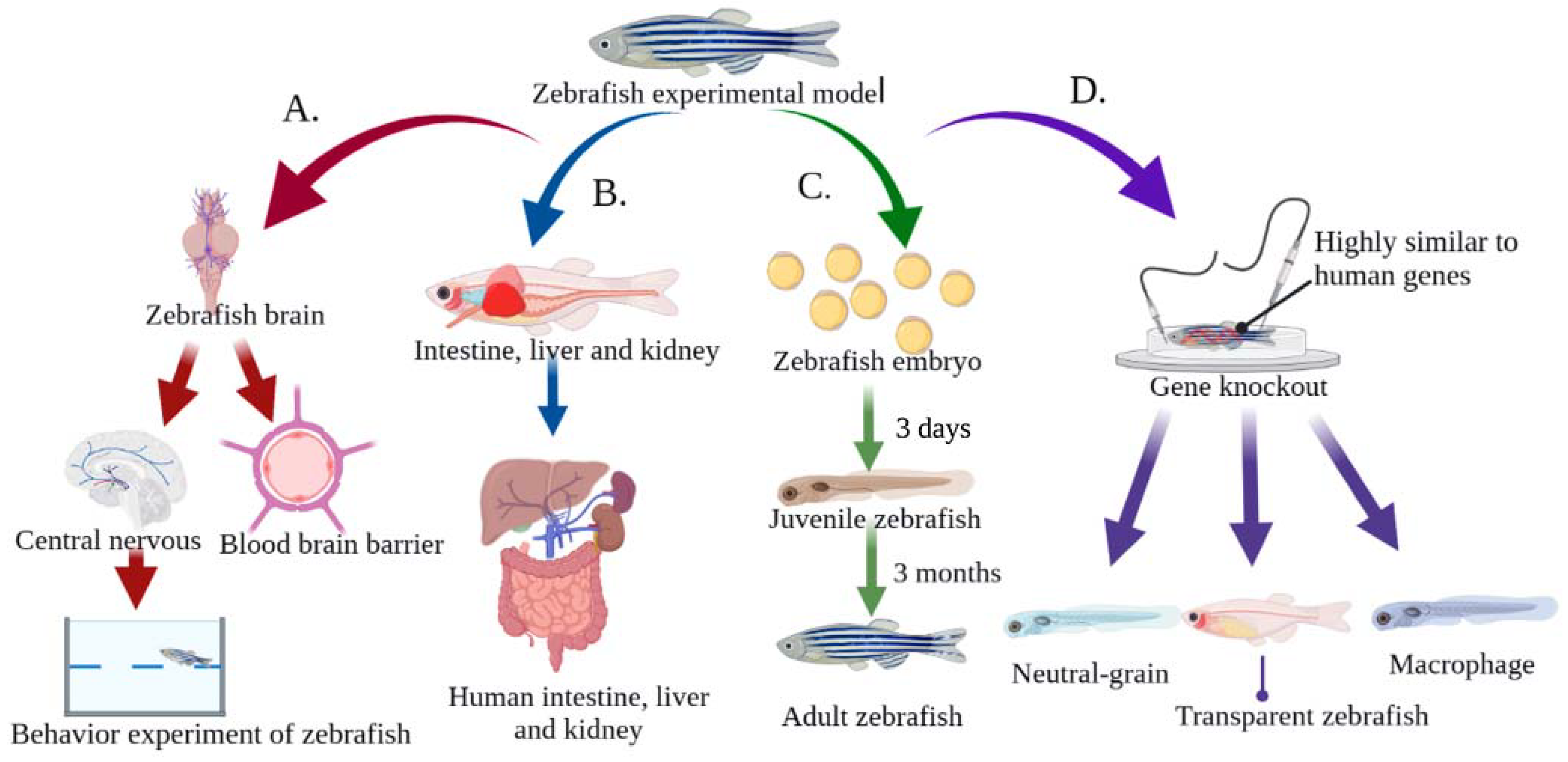 Toxics 11 00380 g002