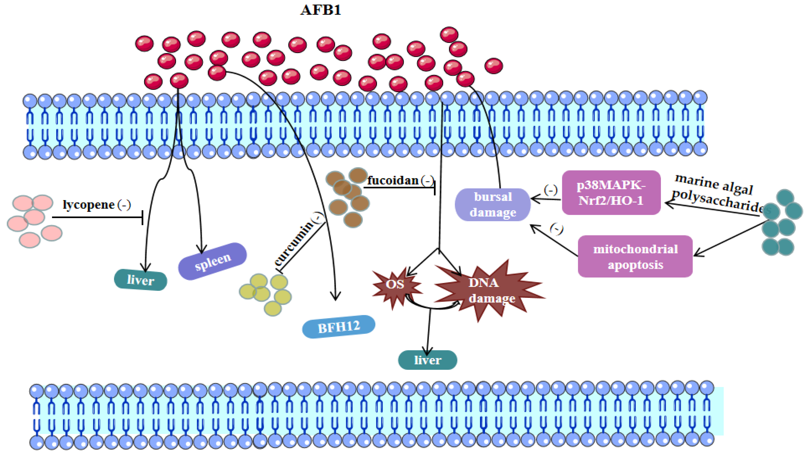 Toxics 11 00395 g003 Toxics 11 00395 g003