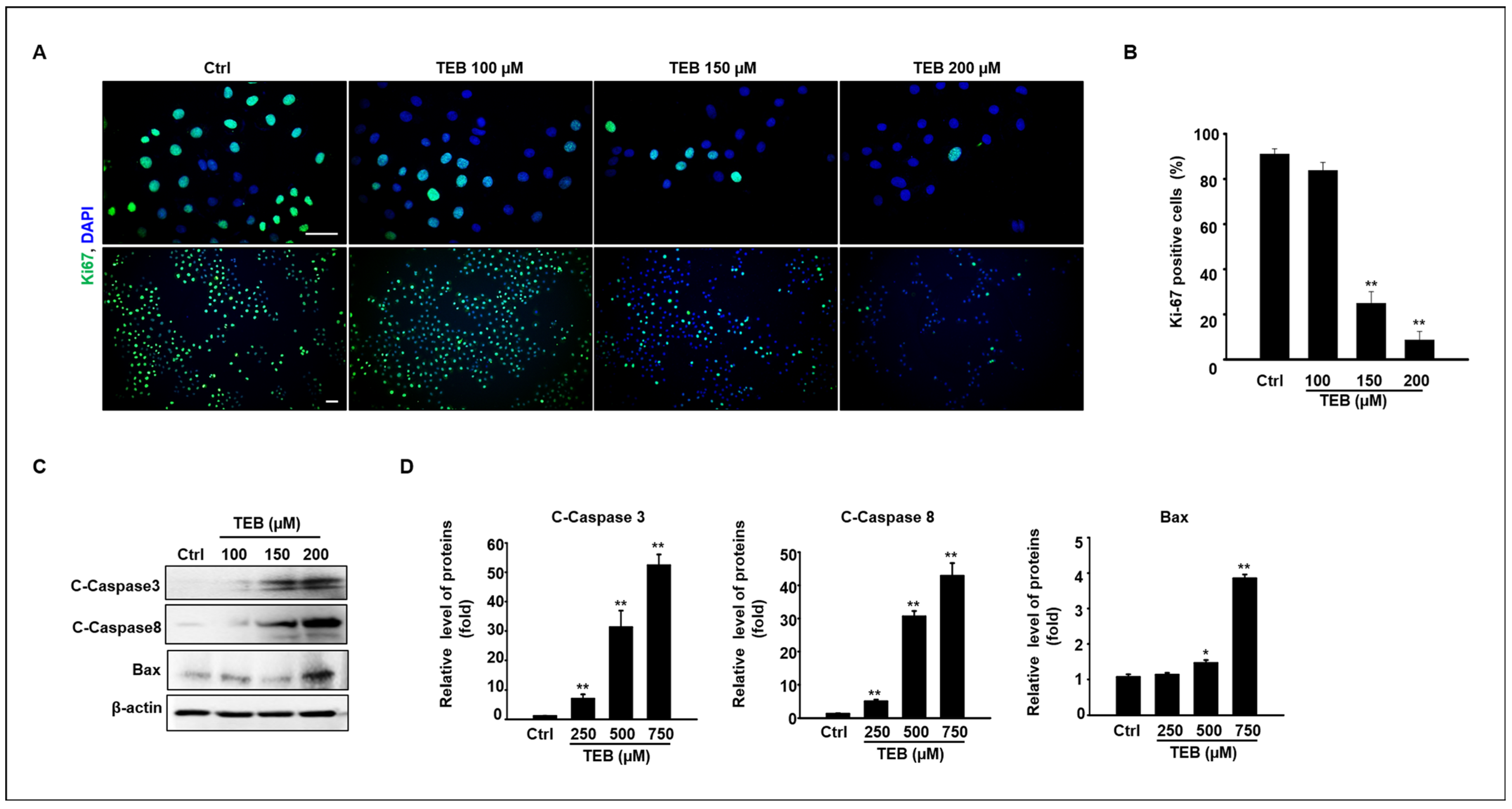 Toxics 11 00397 g002