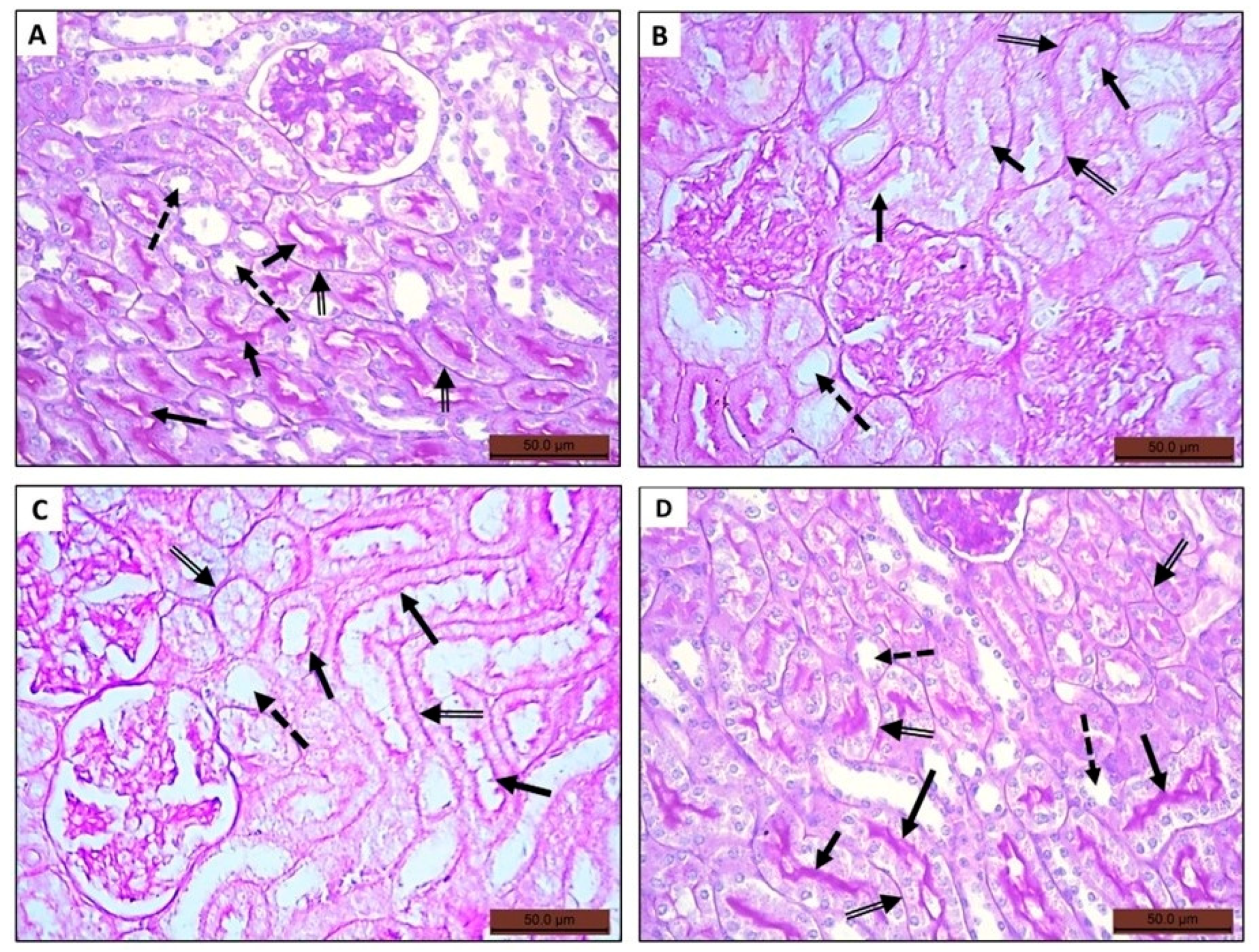 Toxics 11 00398 g005