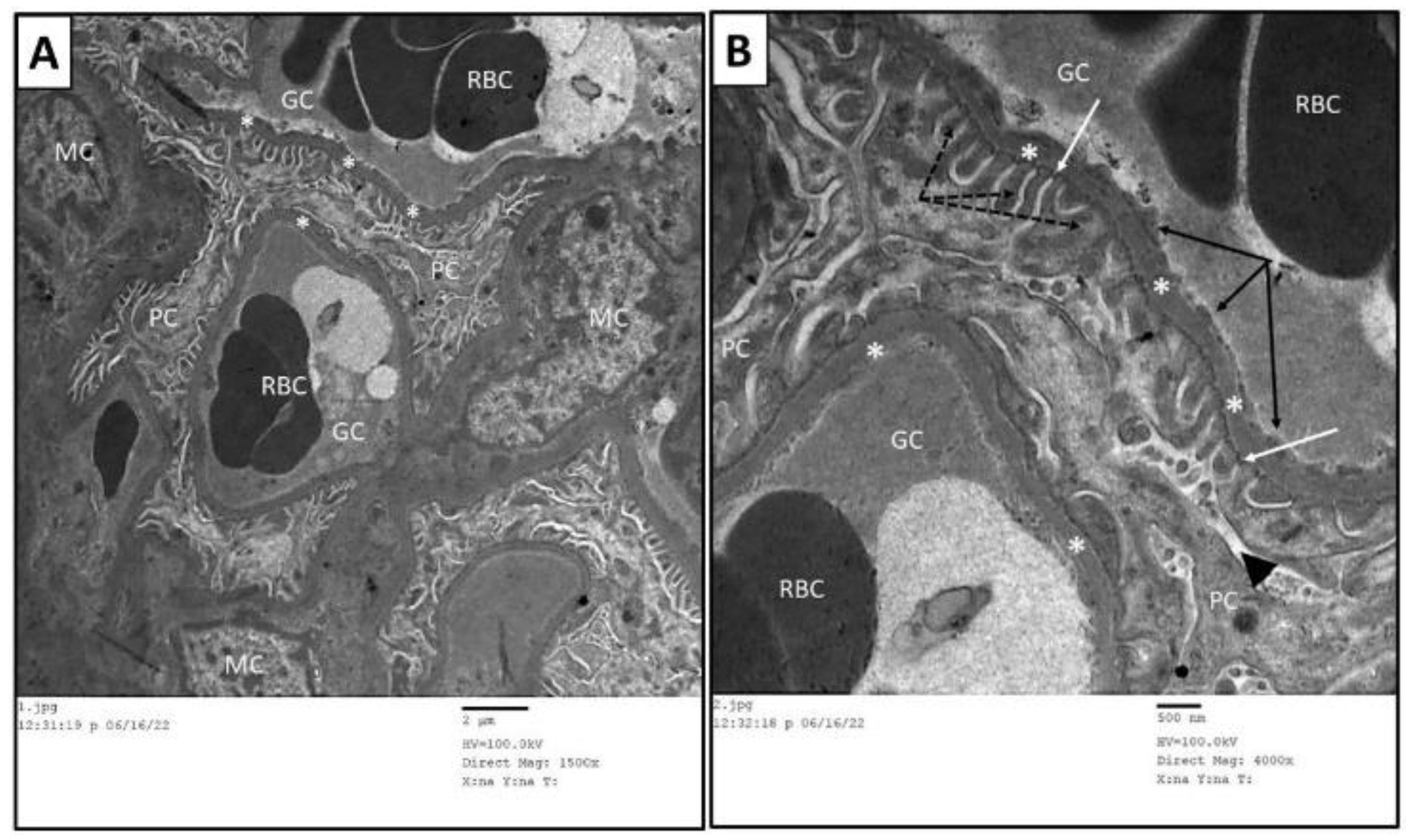 Toxics 11 00398 g009