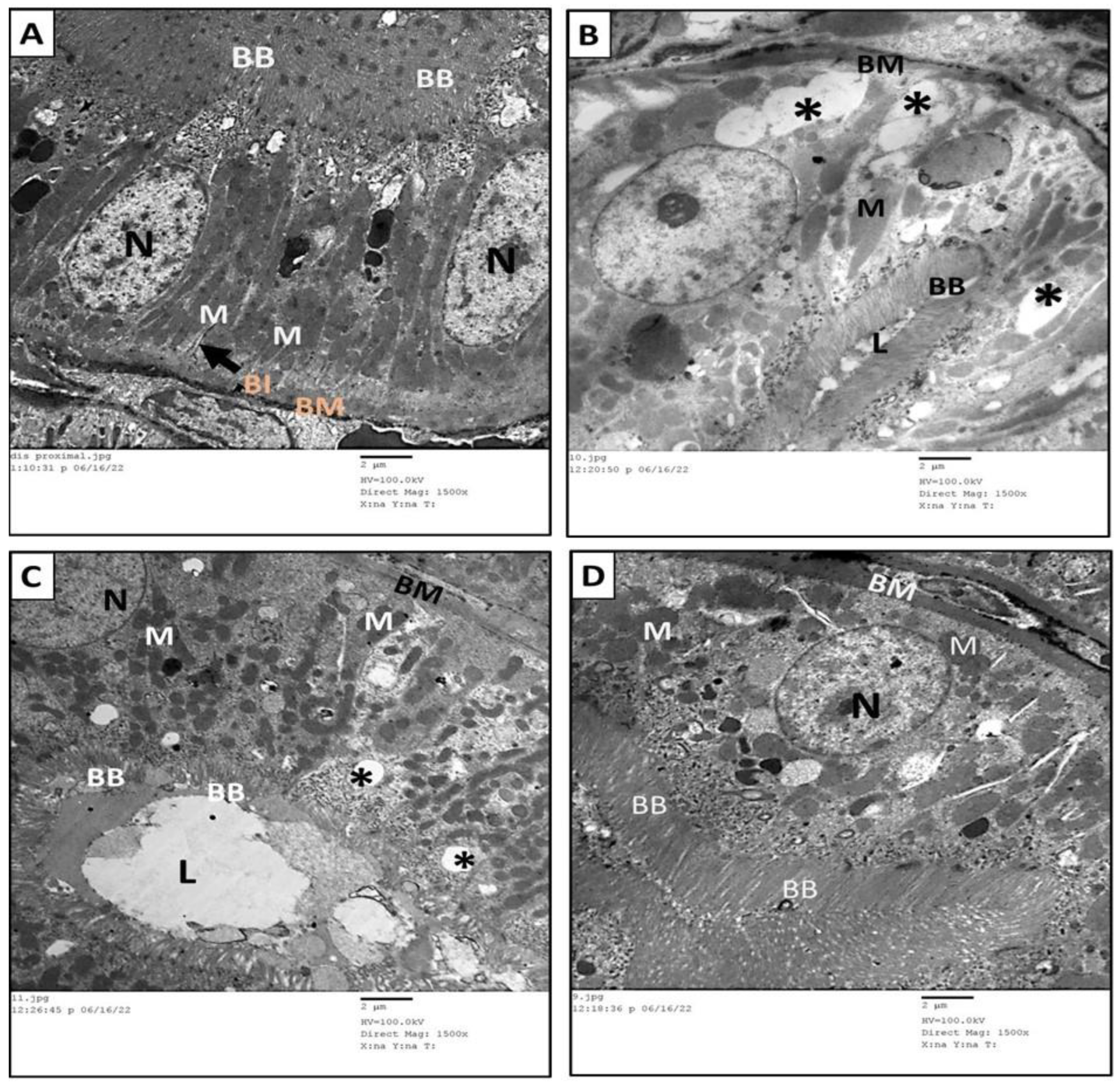Toxics 11 00398 g010
