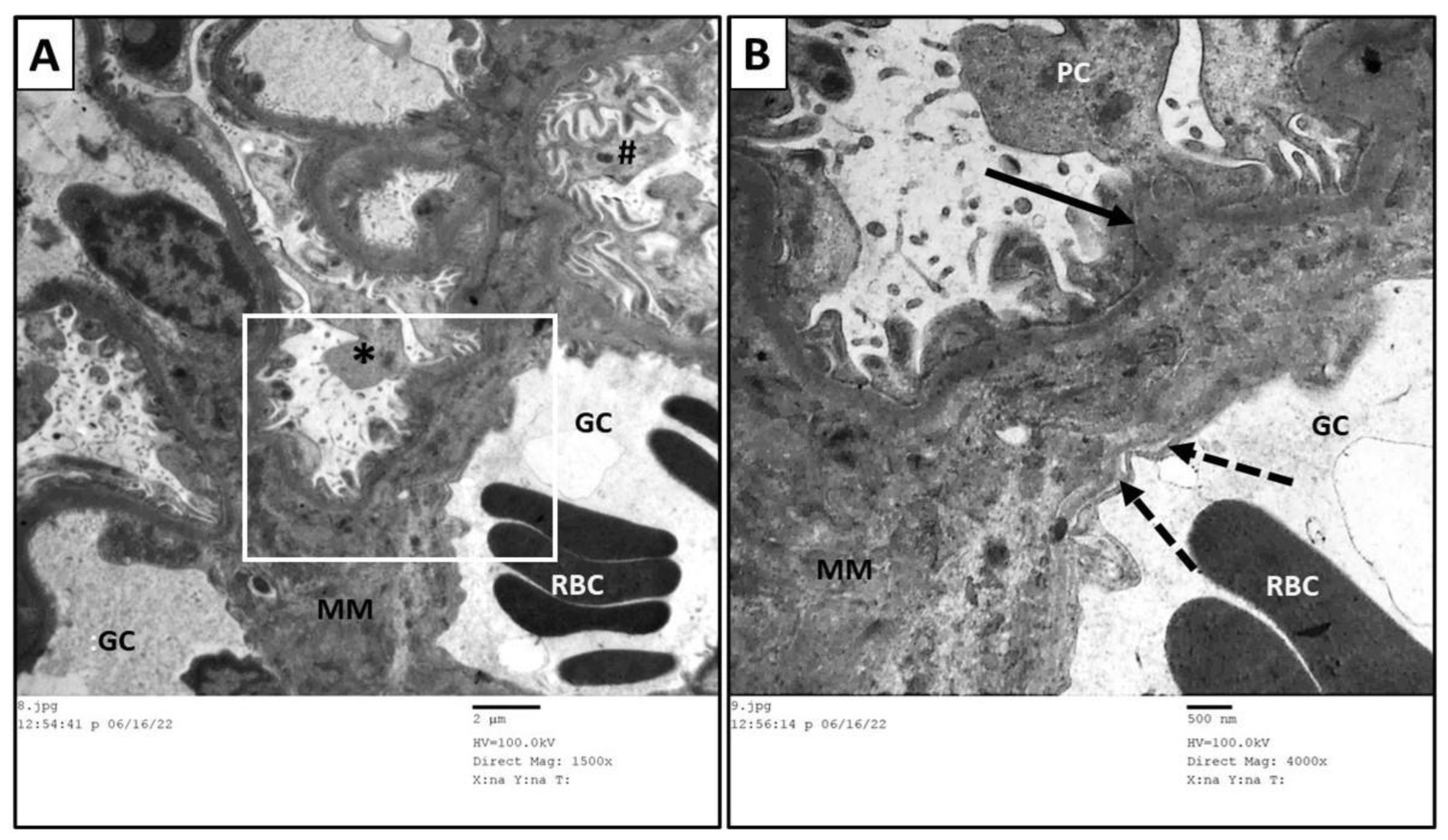 Toxics 11 00398 g012