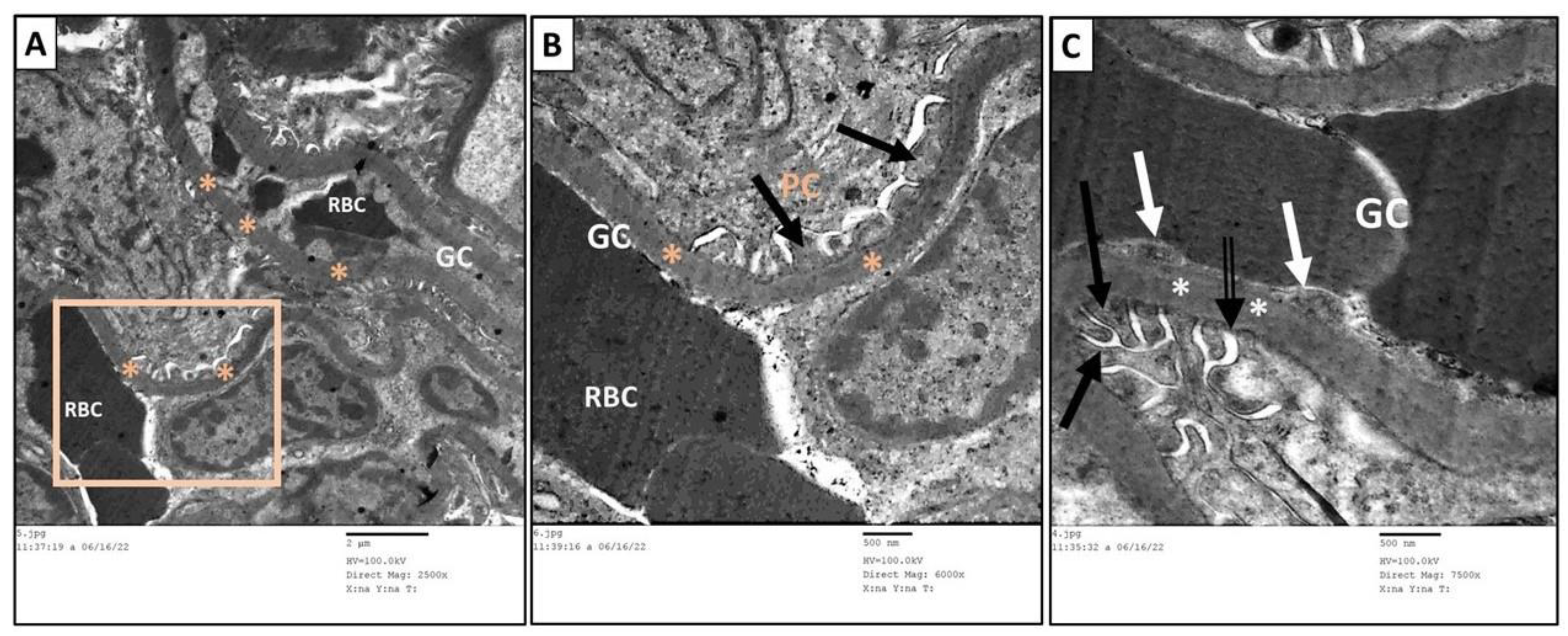 Toxics 11 00398 g013