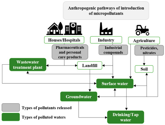 Bio-Based Adsorption as Ecofriendly Method for Wastewater 