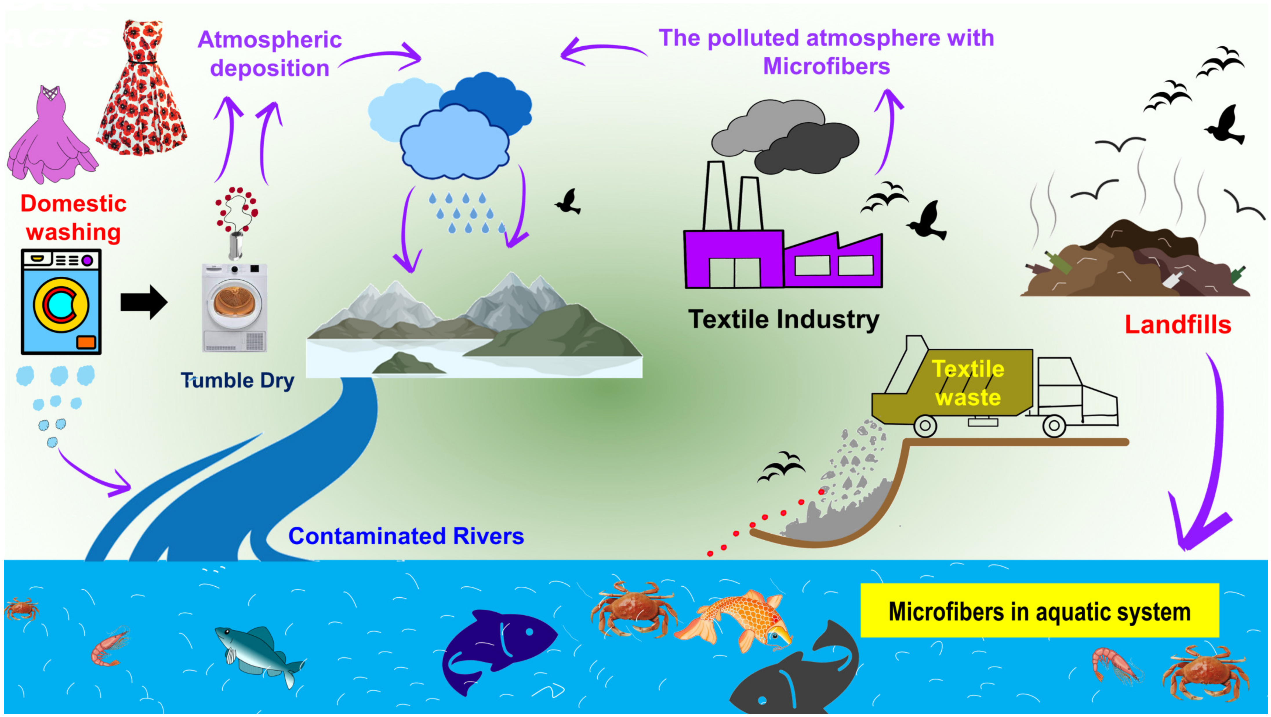 https://www.mdpi.com/toxics/toxics-11-00406/article_deploy/html/images/toxics-11-00406-g001.png