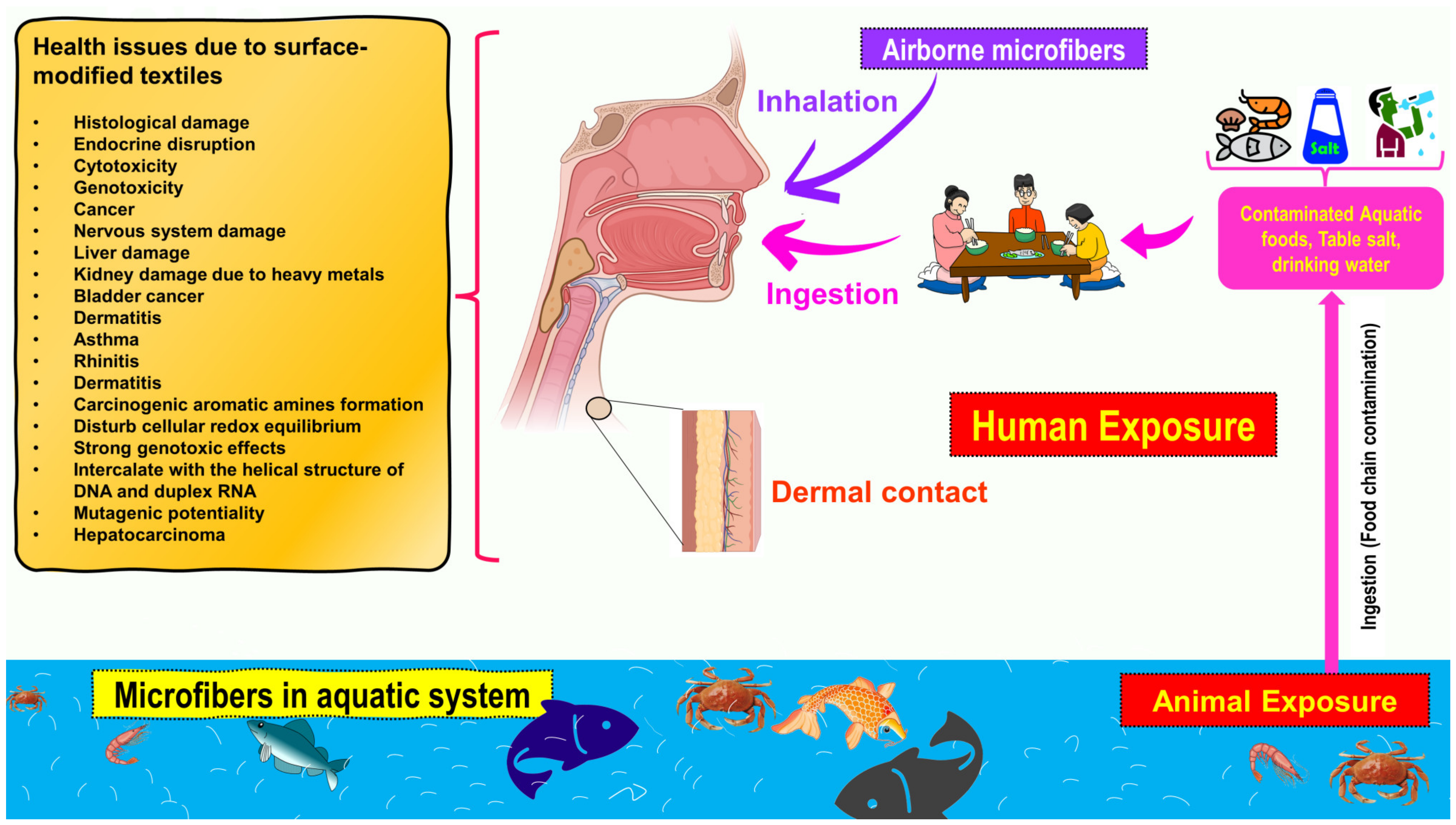 Toxics 11 00406 g002 Toxics 11 00406 g002
