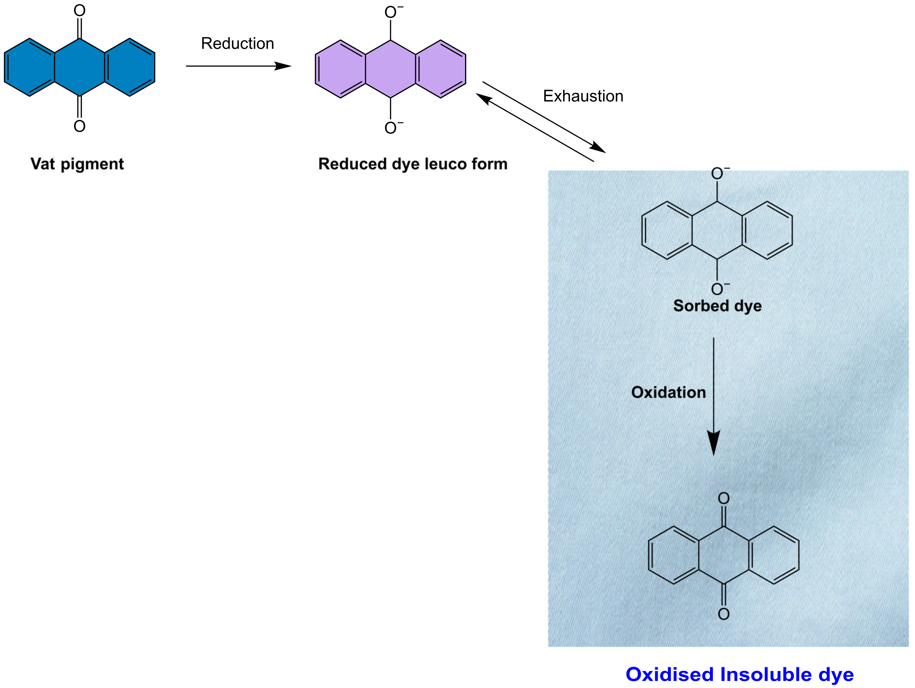 Toxics 11 00406 g005 Toxics 11 00406 g005