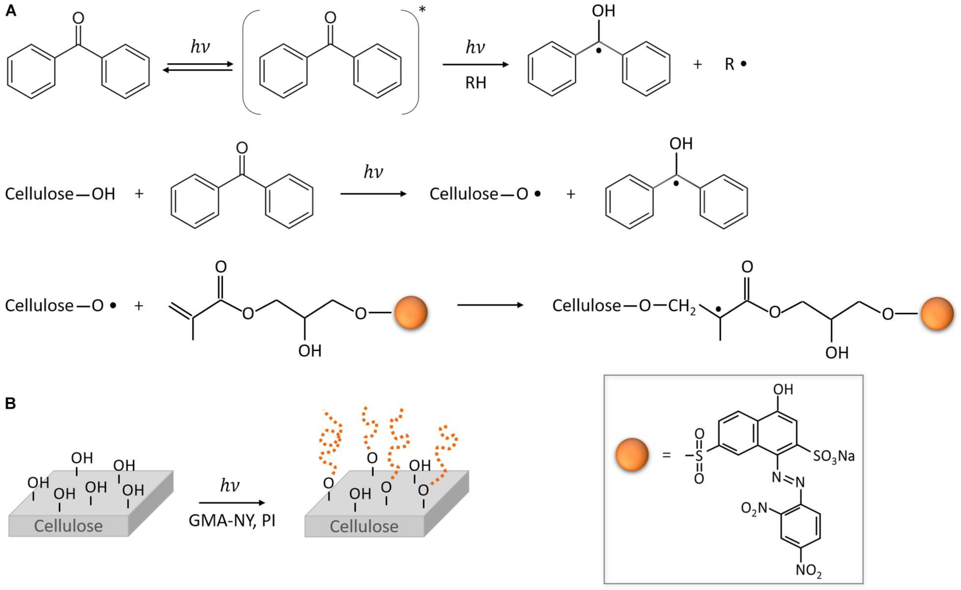 Toxics 11 00406 g007 Toxics 11 00406 g007