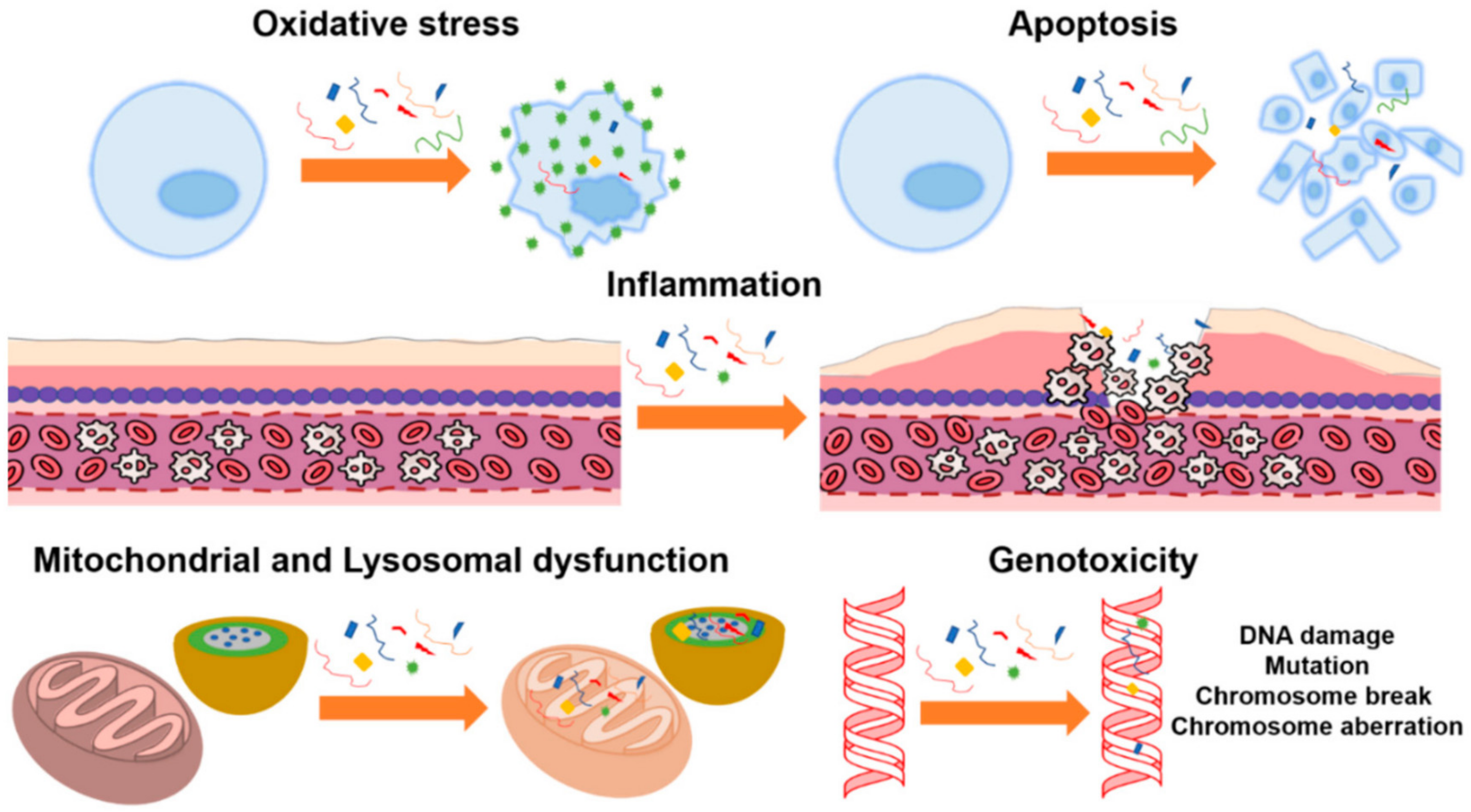 Toxics 11 00406 g011 Toxics 11 00406 g011