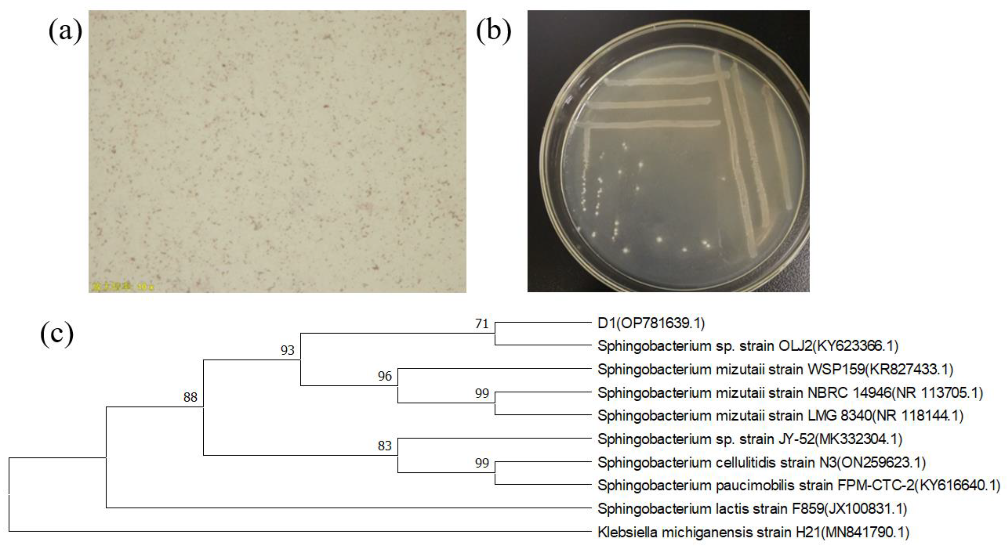 Toxics 11 00412 g001 Toxics 11 00412 g001