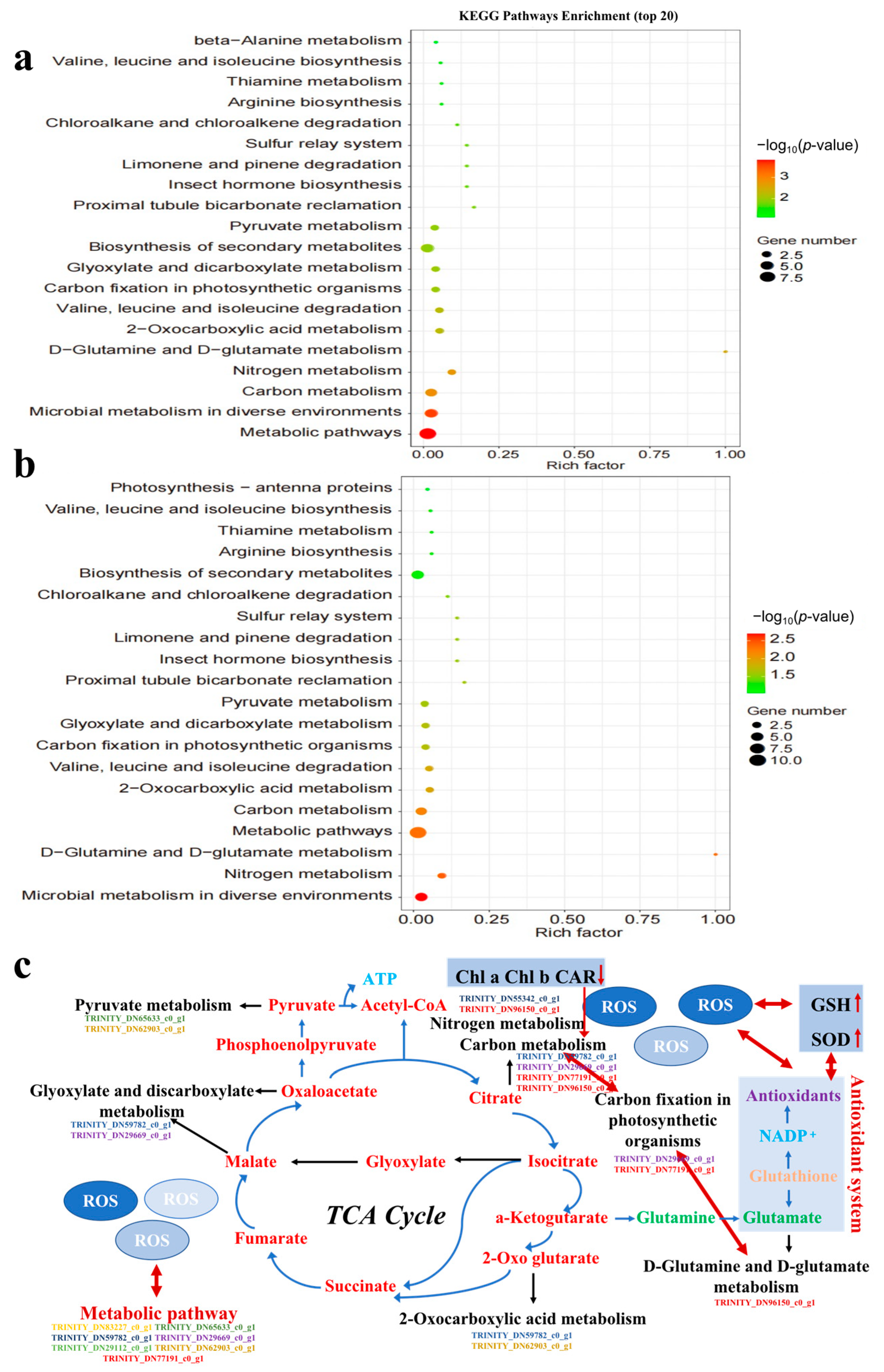 Toxics 11 00414 g006