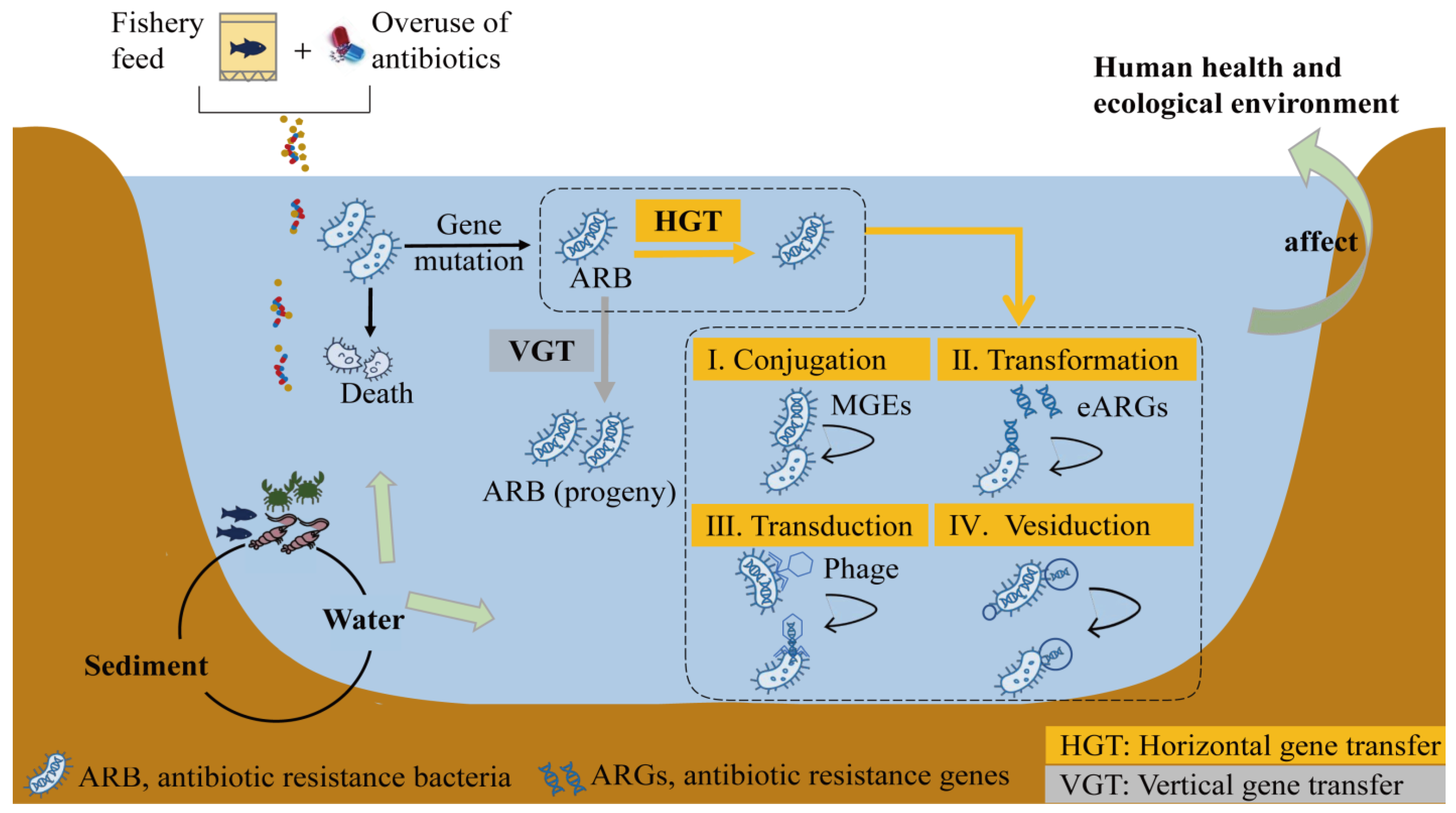 Toxics Free FullText A Review of Antibiotics, Antibiotic Resistant Bacteria, and Resistance